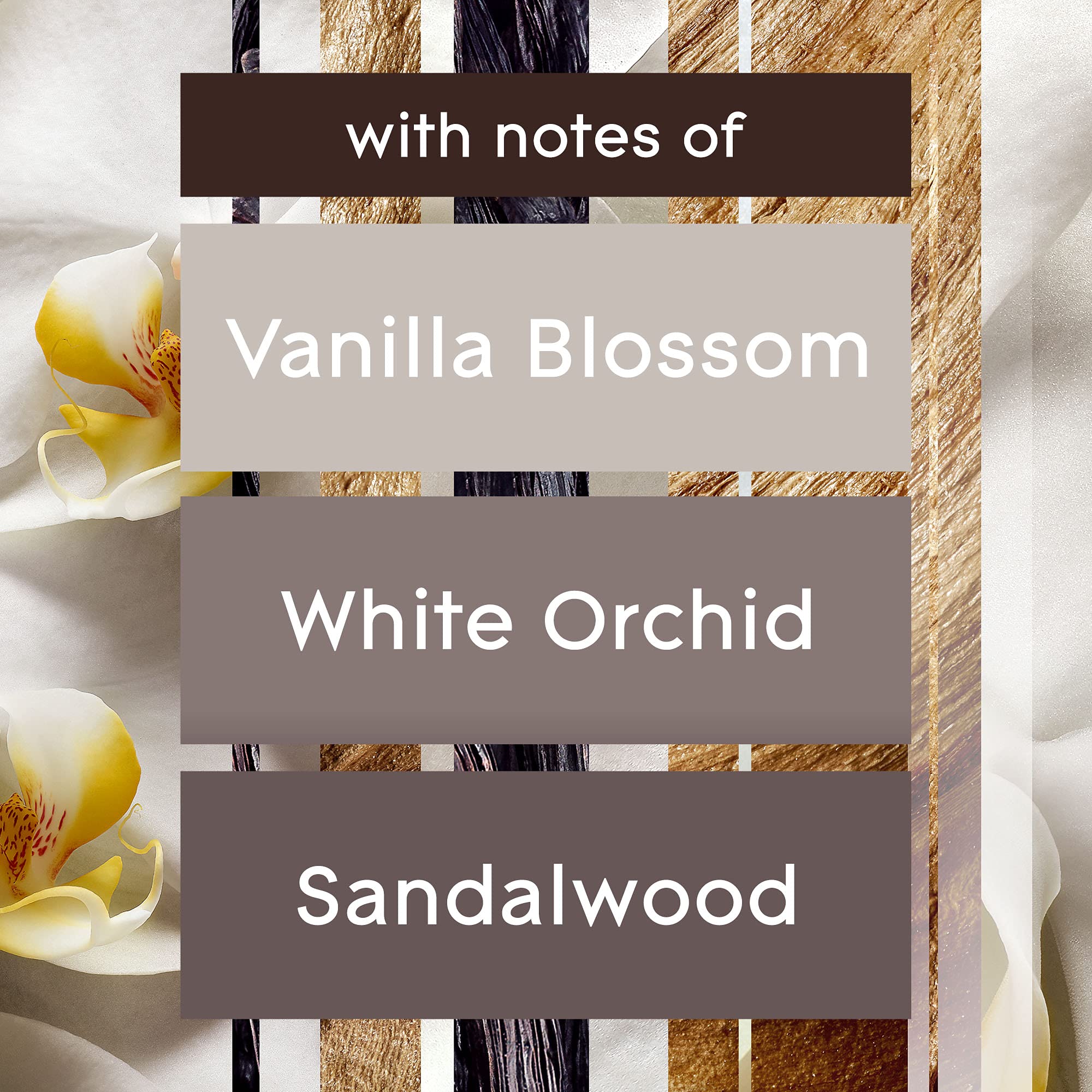 Glade Plugins Refills Air Freshener, Scented And Essential Oils For Home And Bathroom, Sheer Vanilla Embrace, 1.34 Oz, 12 Count