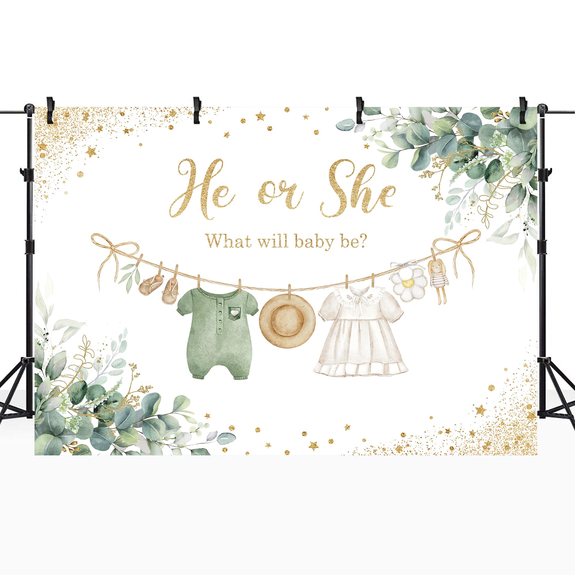 Riyidecor Green Gender Reveal Backdrop Polyester Fabric He Or She What Will Baby Be 7Wx5H Feet Boho Sage Eucalyptus Watercolor L