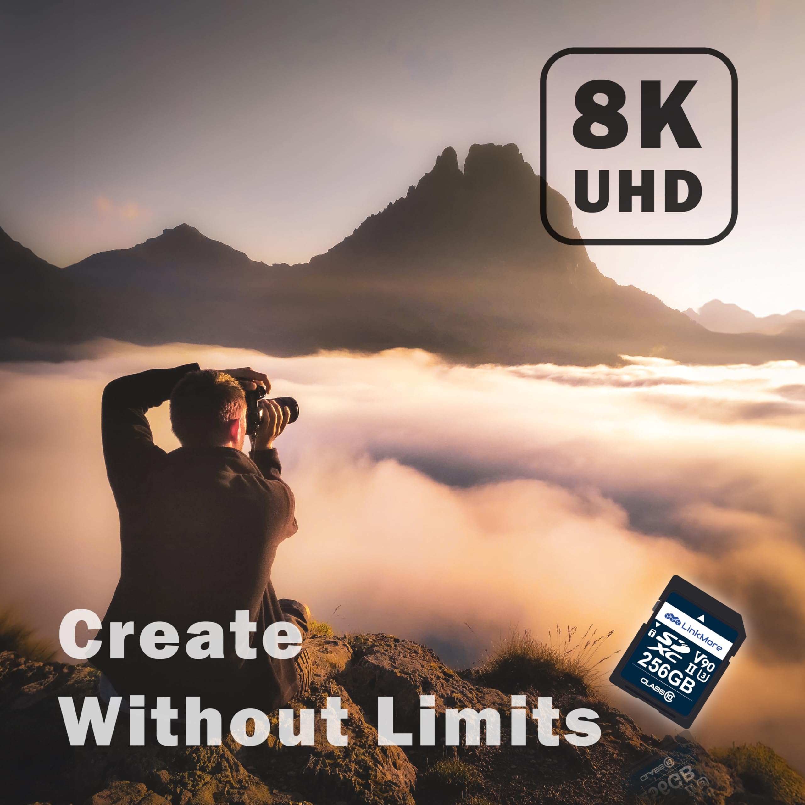 Linkmore Xv29 256Gb Sdxc Uhs Ii Card Uhs Ii Sd Card, C10, U3, V90, Sd Card For Digital Camera, Drone Support 4K 8K Video, Camera