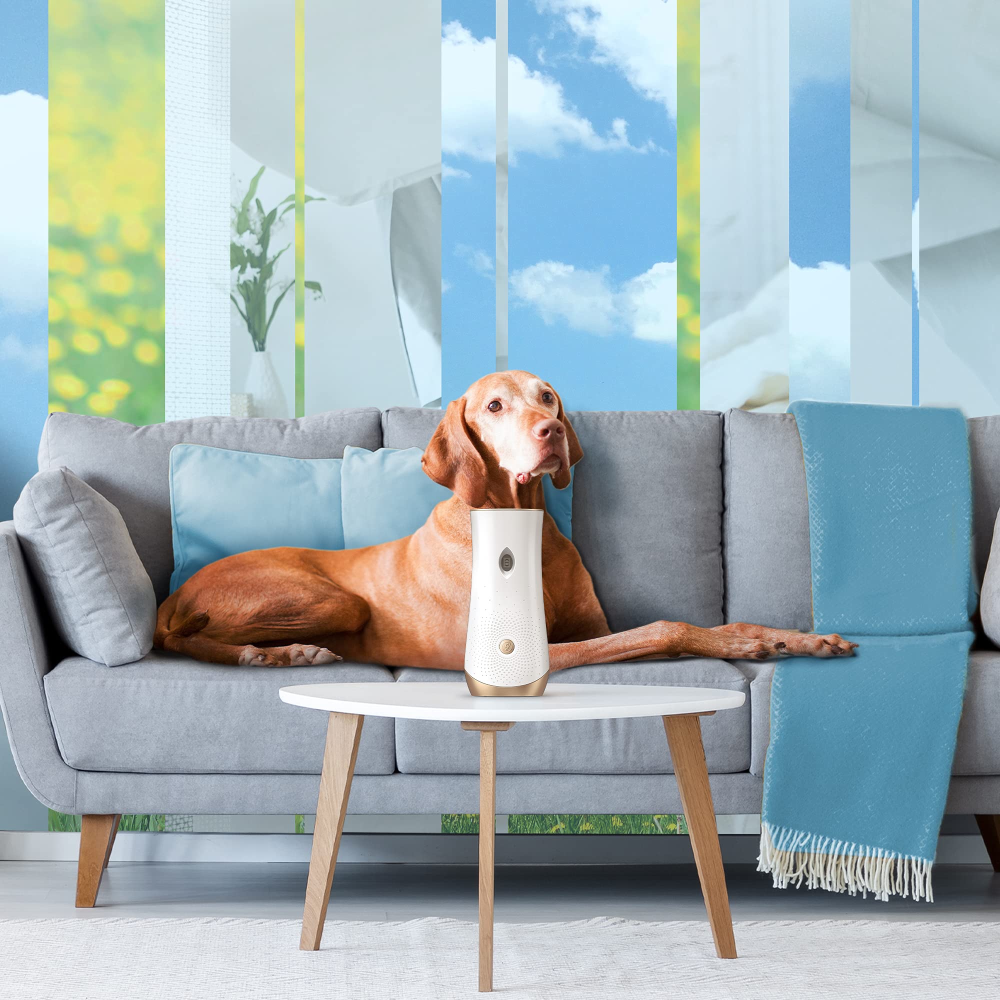 Glade Automatic Spray Refill, Air Freshener For Home And Bathroom, Pet Clean Scent, 6.2 Oz