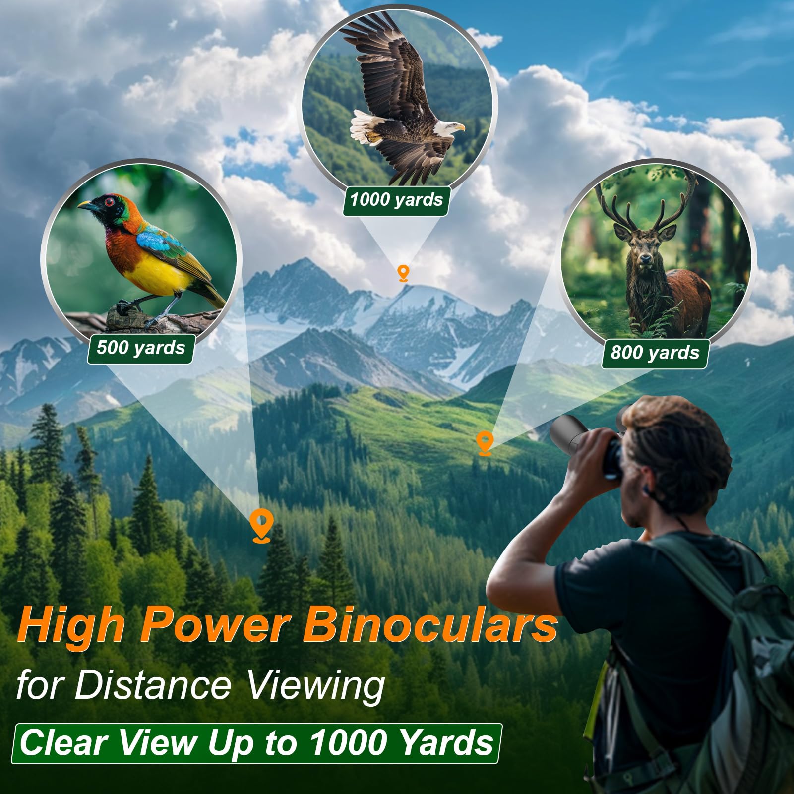 High Powered Zoom Binoculars For Adults   Wozel 12 36X50 Hd Professional Binoculars With Large Vision   Waterproof Binocular Wit