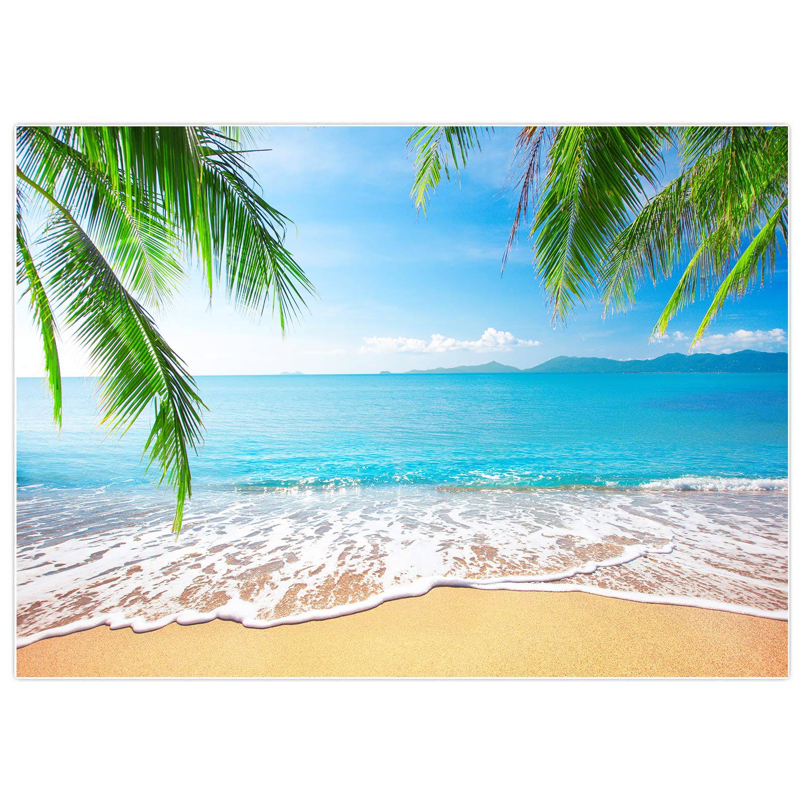 Allenjoy 7X5Ft Tropical Beach Background Summer Luau Palm Leaves Ocean Island Seaside Scene Wedding Photography Backdrop Baby Bi