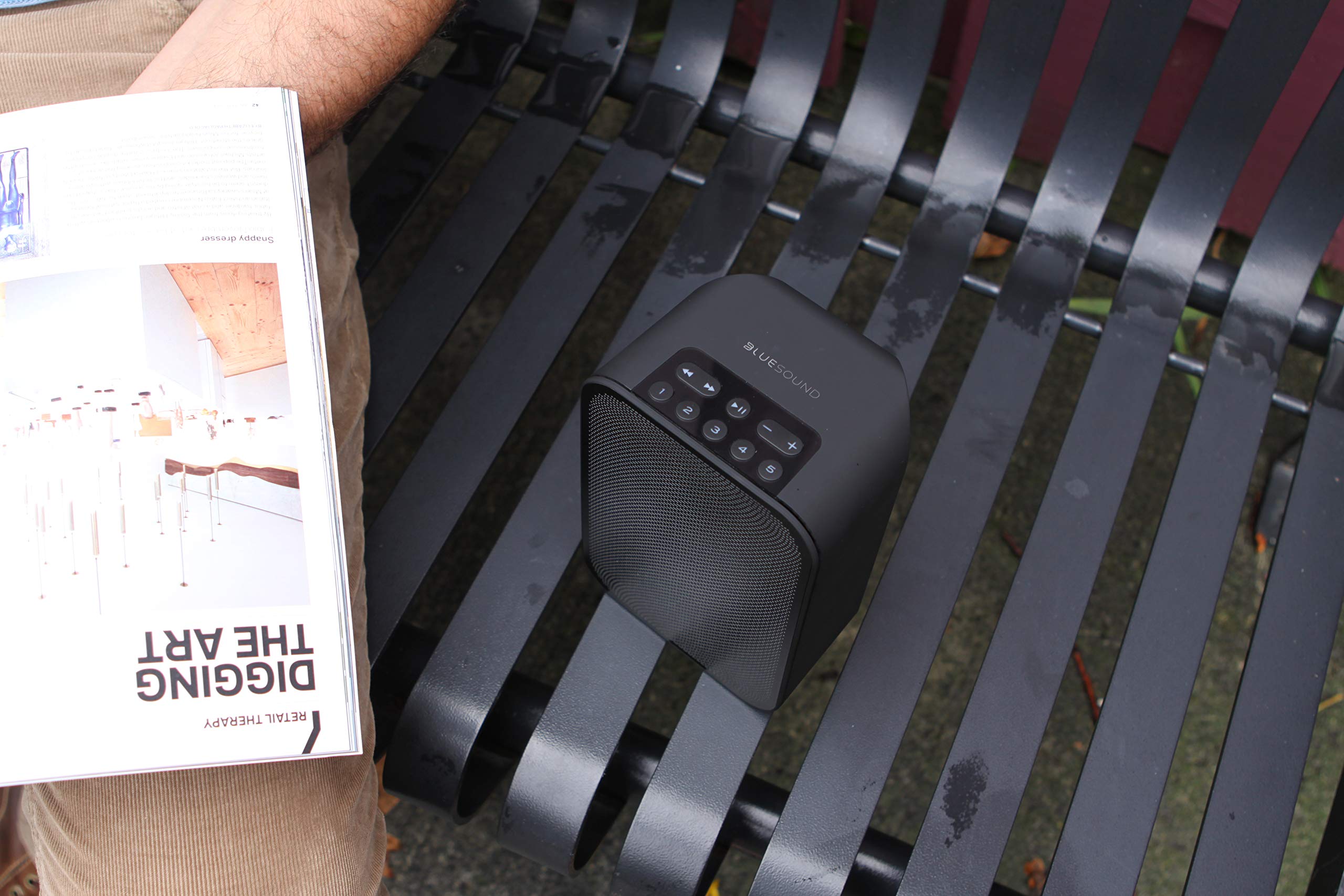 Bluesound Bp100 Battery Pack For Pulse Flex   Black