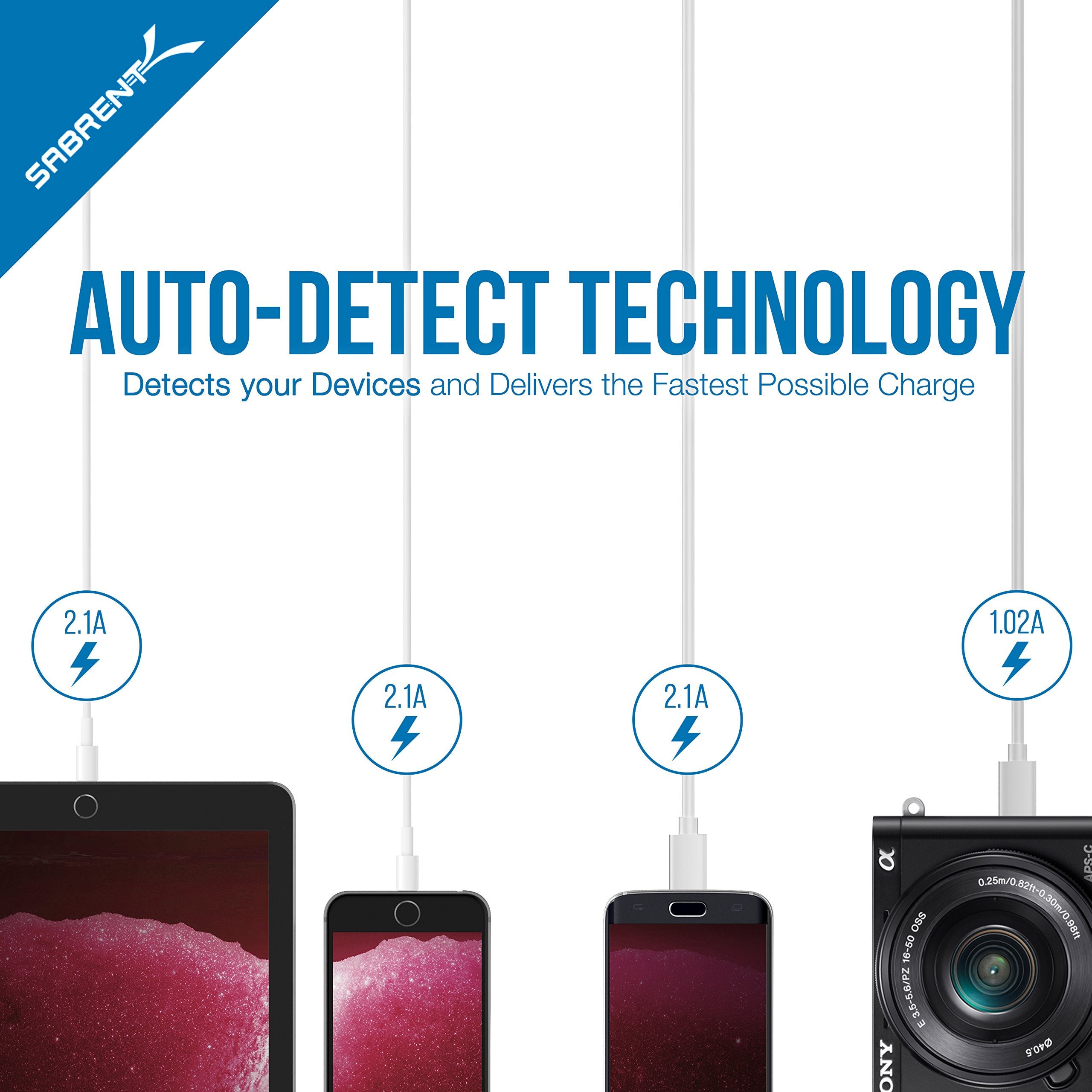 Sabrent Premium 60 Watt (12 Amp) 6 Port Aluminum Family Sized Desktop Usb Rapid Charger.[Ul Certified ] Smart Usb Charger With A