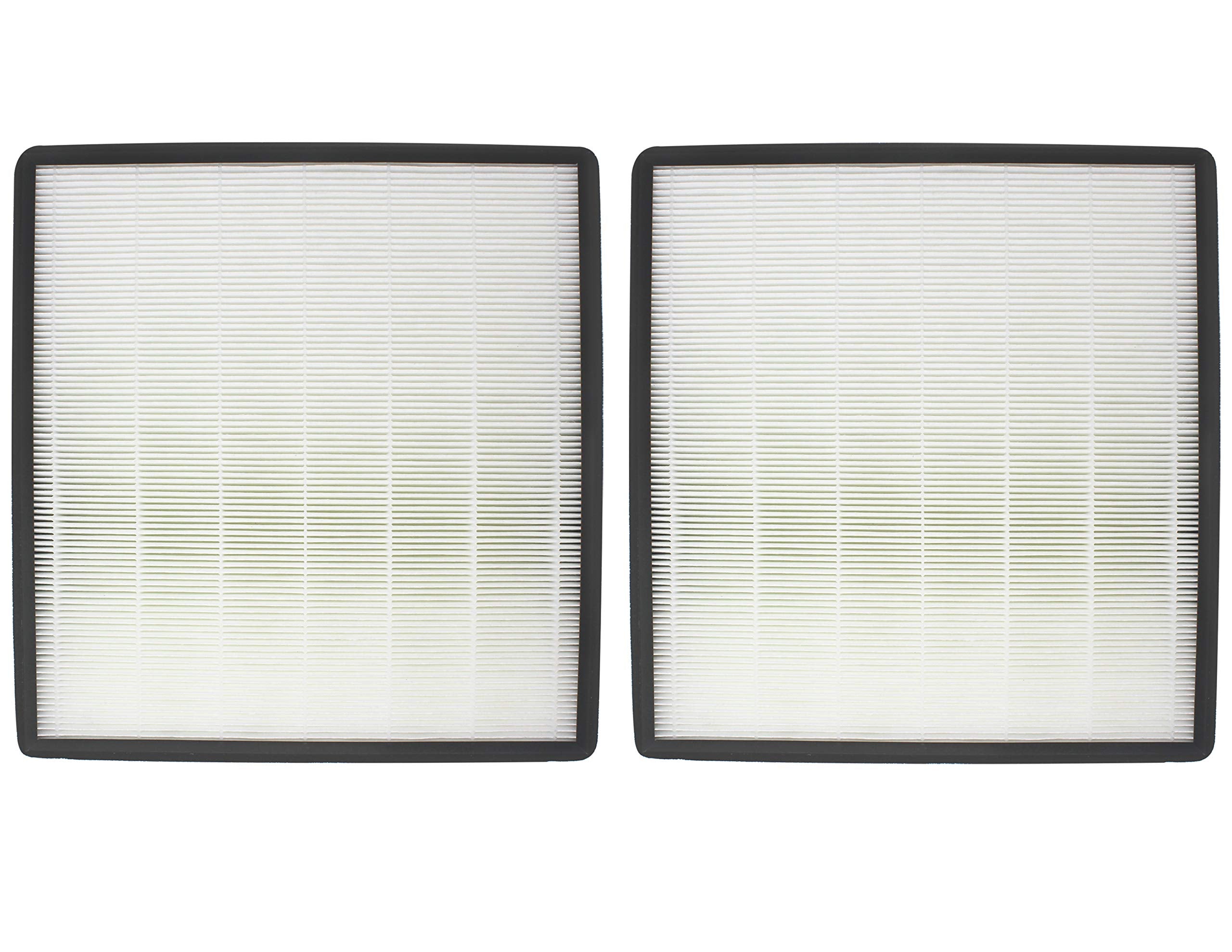 Fette Filter   Air Purifier True Hepa Filter F Compatible With Holmes Hap769. Compare To Part # Hapf700 (2 Pack)