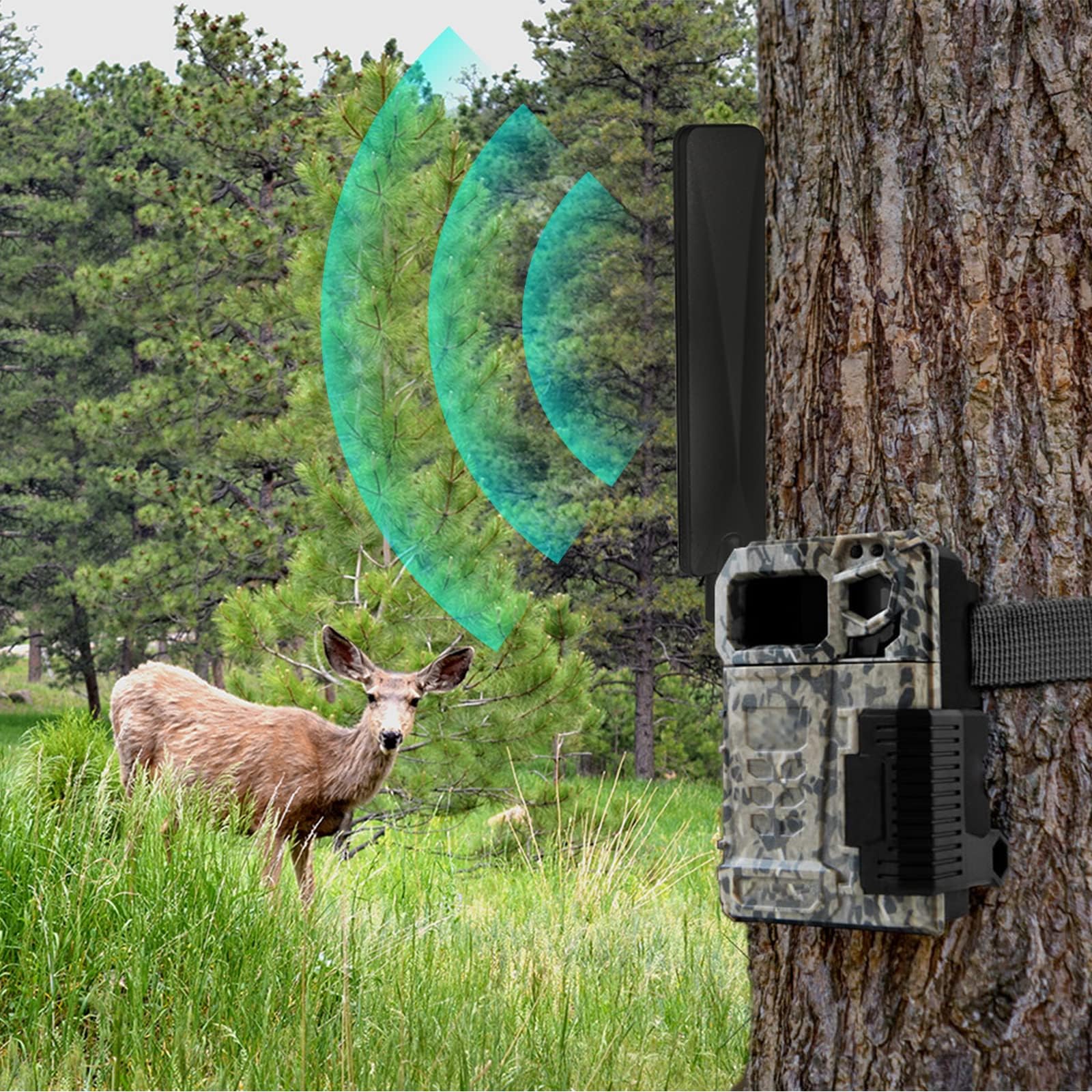 Bingfu 4G Lte Cellular Trail Game Camera Antenna 9Dbi Rp Sma Male (10 Pack) Compatible With Spypoint Stealth Cam Tactacam Cuddeb
