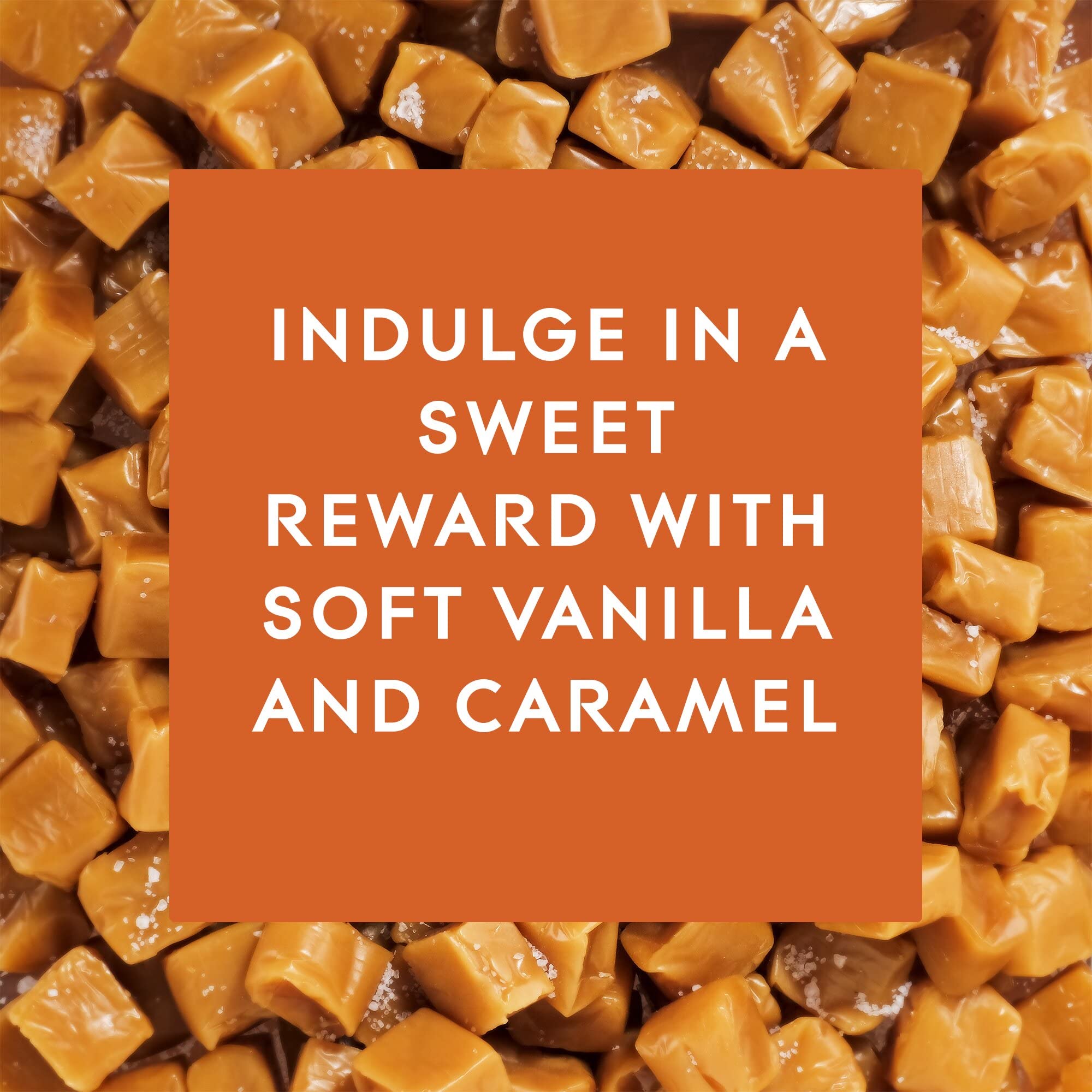 Glade Plugins Refills Air Freshener, Scented And Essential Oils For Home And Bathroom, Vanilla Caramel Twist, 1.34 Fl Oz, 2 Coun