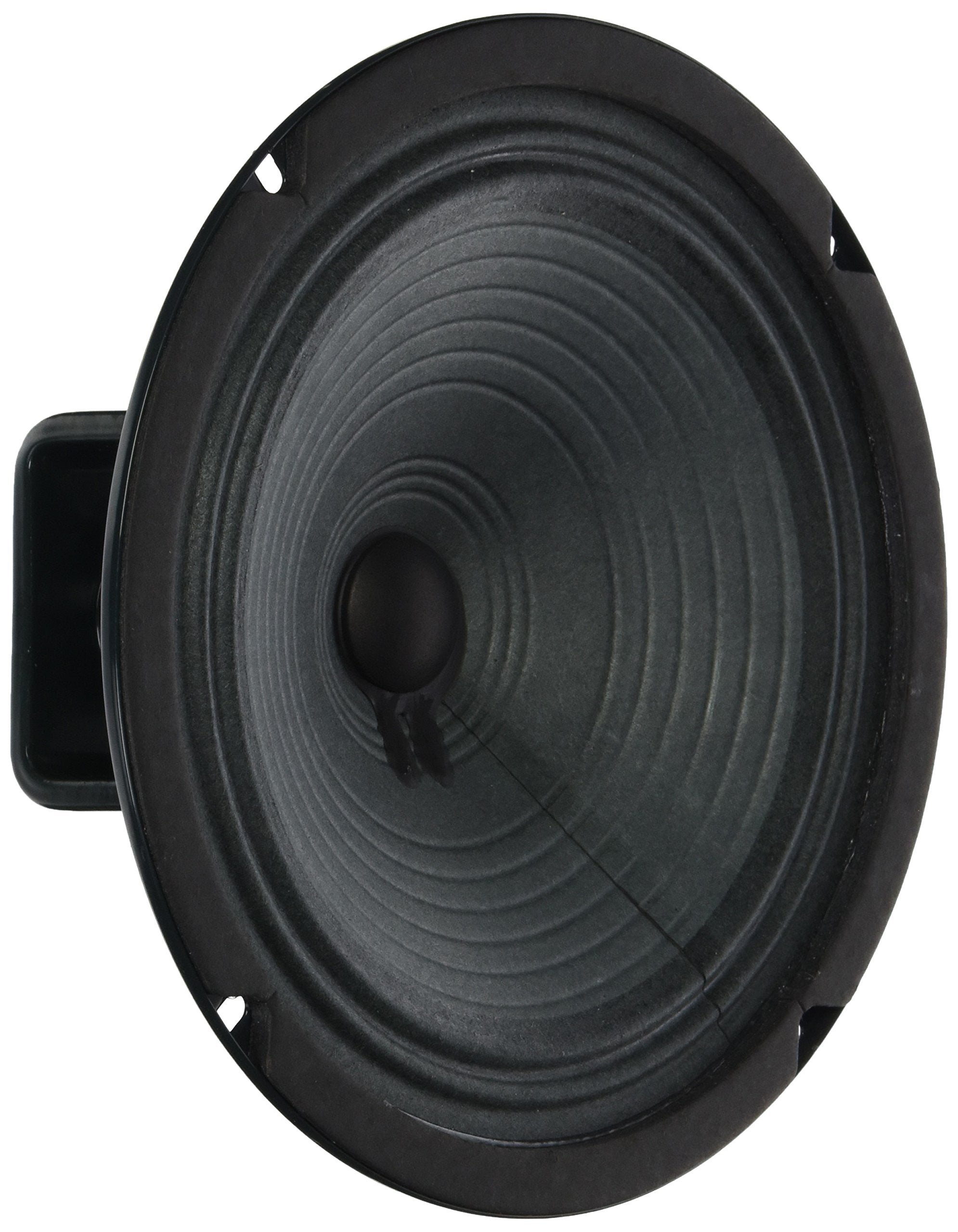 Jensen Vintage P8R4 8-Inch Alnico Speaker, 4 ohm