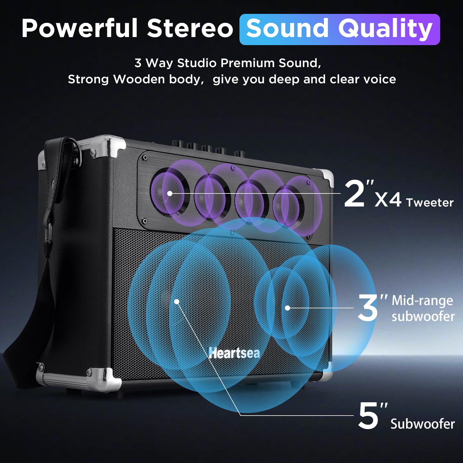 Heartsea Karaoke Machine For Adults & Kids, Portable Pa Speaker System With 2 Wireless Microphones, Bluetooth, Usb/Sd/Aux/Tv Inp