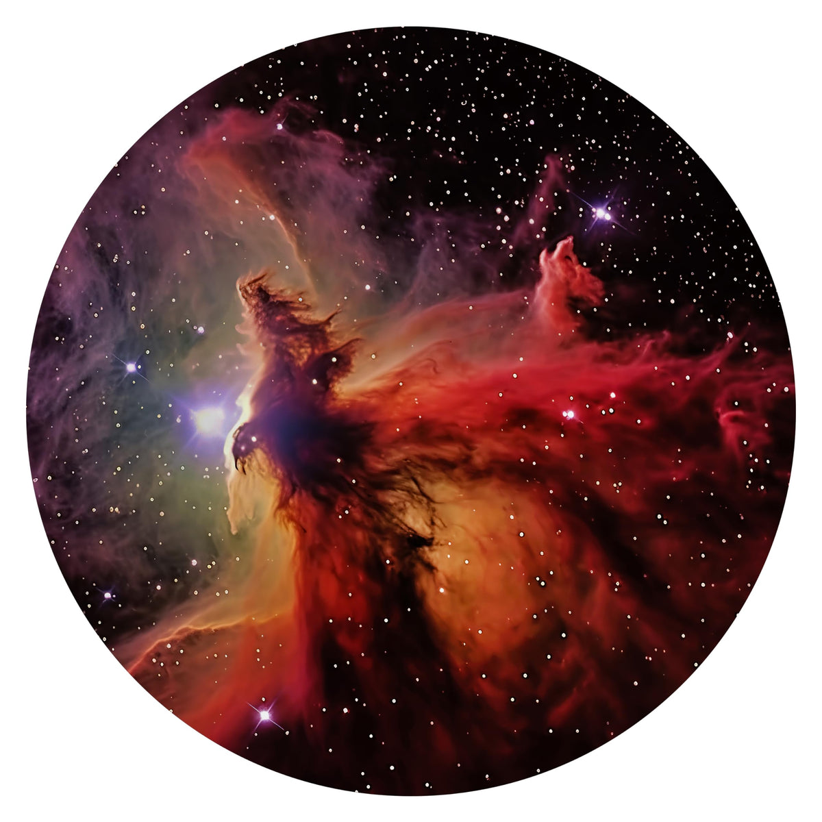 Orzorz Slide Discs Galaxy Night Light Plus Home Planetarium Projector (Work Star Projector Plus) (Fox Fur Nebula)