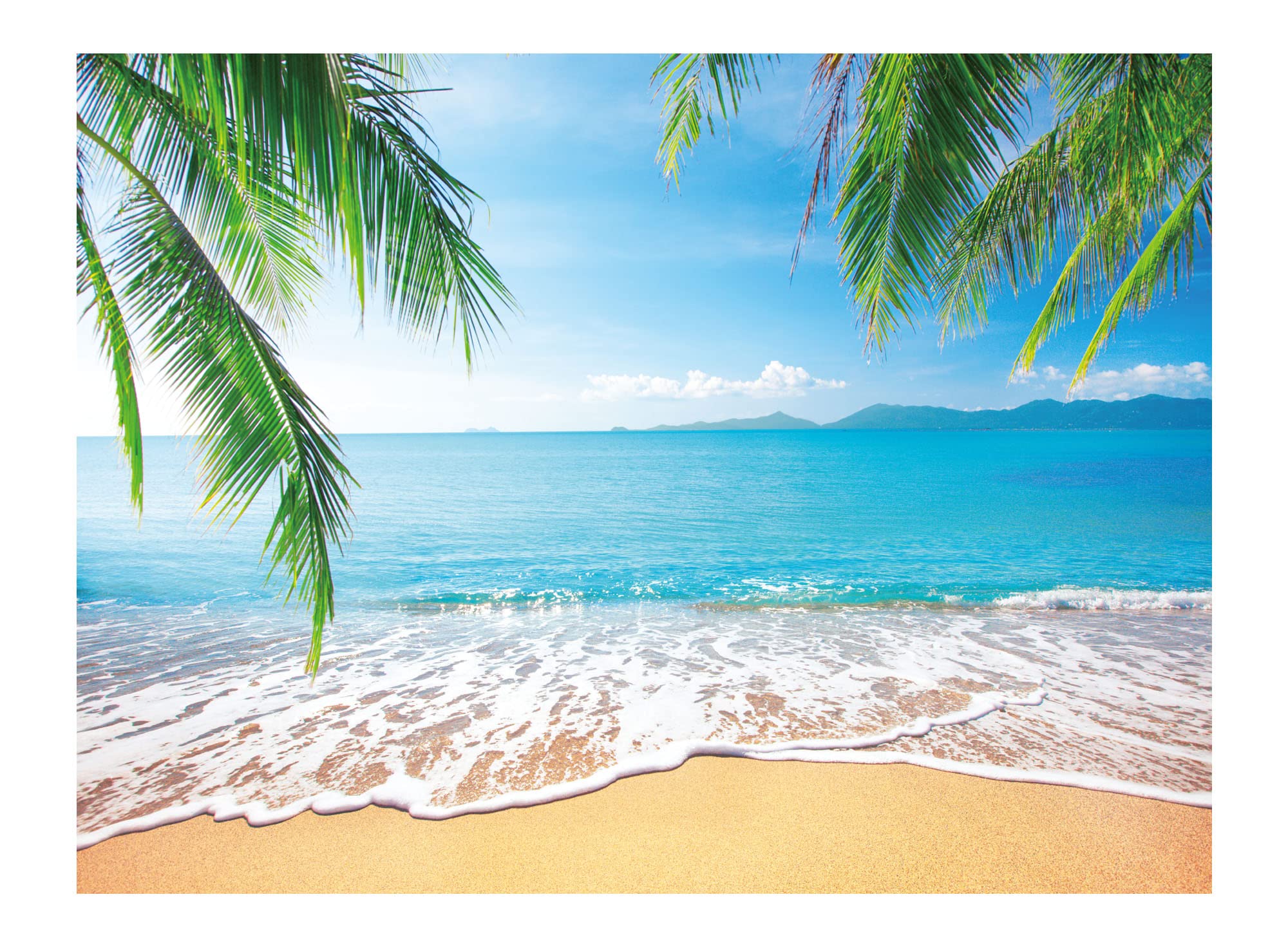 Allenjoy 8X6Ft Tropical Summer Photo Booth Backdrop Beach Party Decorations For Summer Wedding Birthday Holiday Table Banner Wal