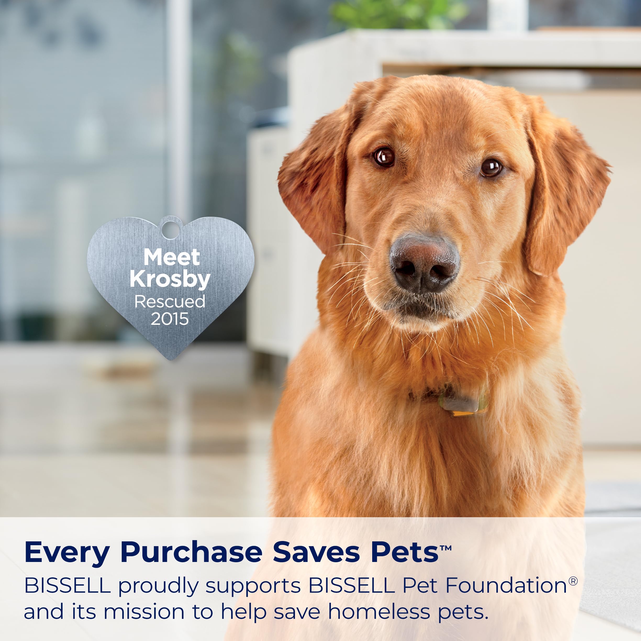 Bissell Proheat 2X Revolution Pet Pro Plus, 3588F, Upright Deep Cleaner, 30 Minute Dry Time, Dual Dirt Lifter Powerbrush, Hose & Tool Attachment, Pet Upholstery Tool And Tough Stain Tool Included