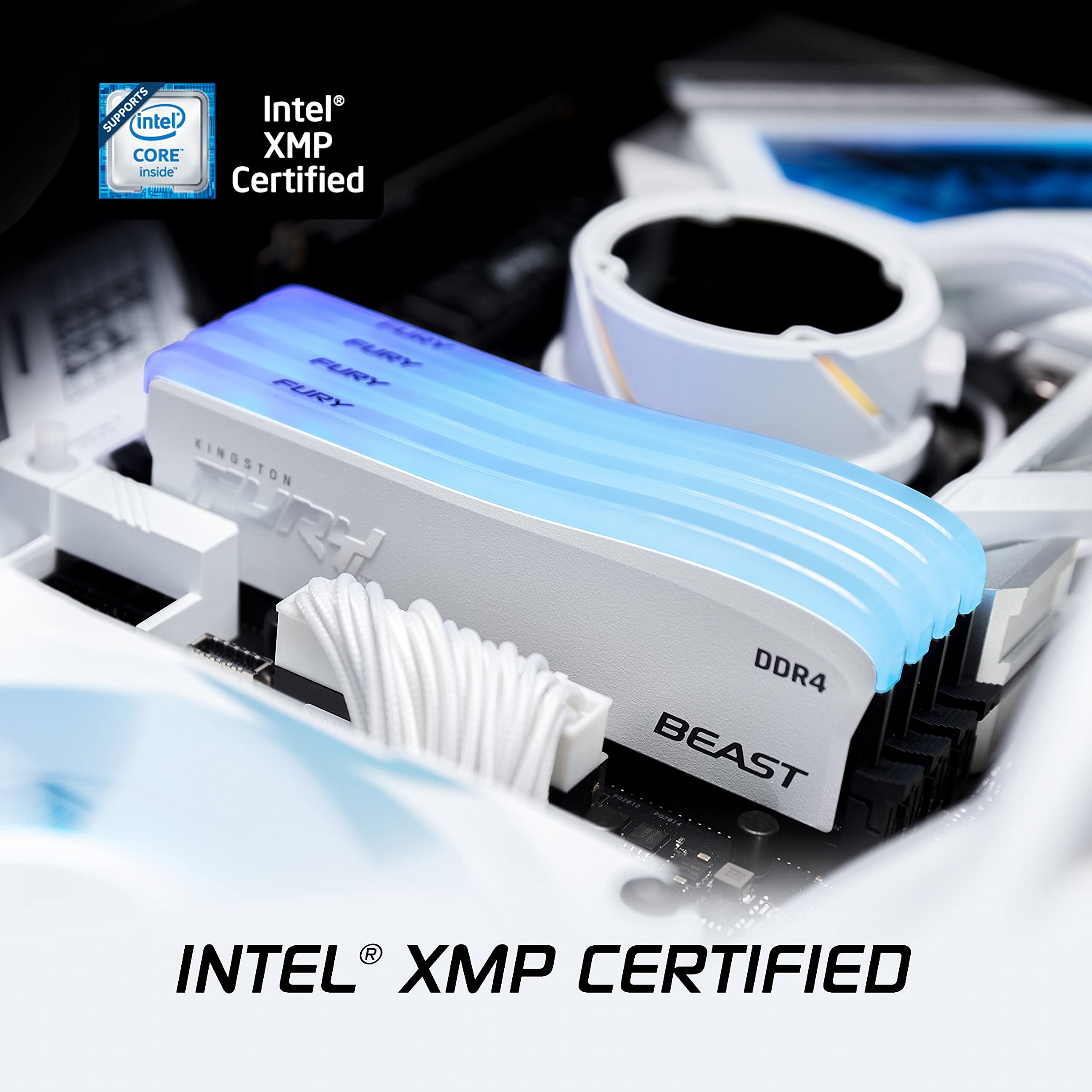 Kingston Technology Fury Beast Rgb Special Edition 8Gb 3600Mt/S Cl17 Ddr4 Desktop Memory Single Module | Infrared Syncing | Inte