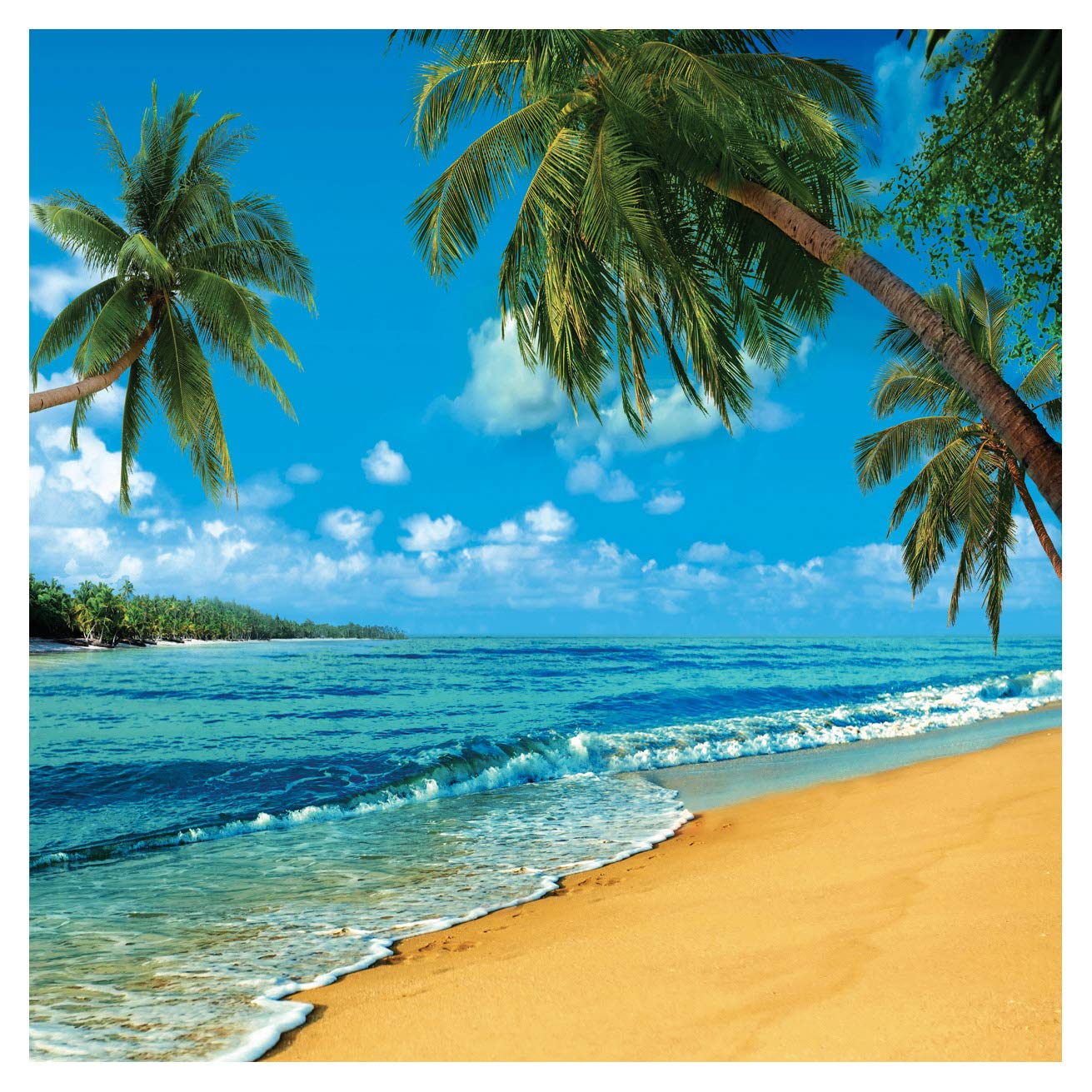 Sjoloon Tropical Photography Backdrop Luau Themed Party Decoration Beach Summer Holidays Photo Backgrounds Coconut Trees Blue Sky White Clouds Beautiful Sea Photography Backdrops 10618(10X10Ft)