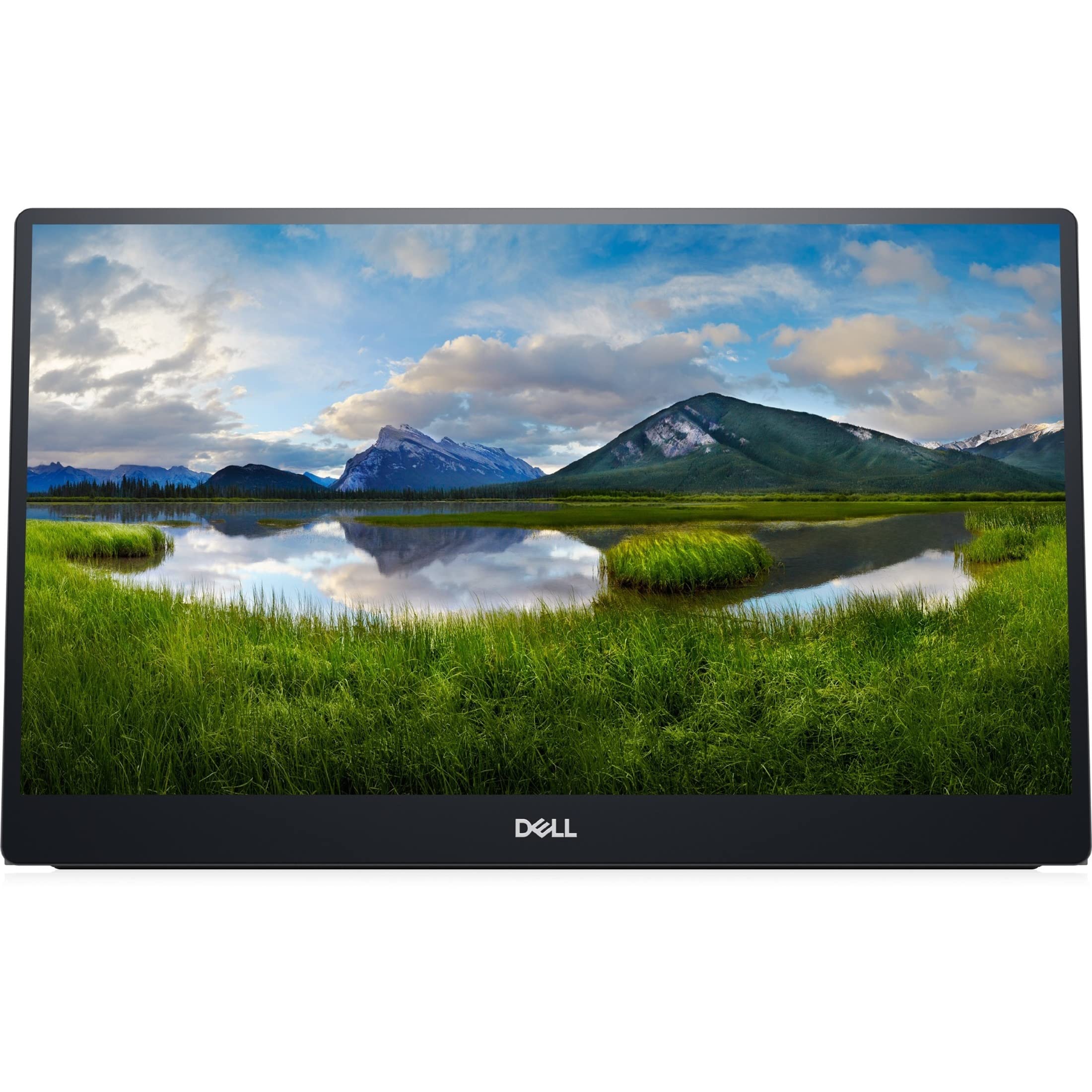 Dell C1422H 14 Full Hd Lcd Monitor - 16:9 - Silver