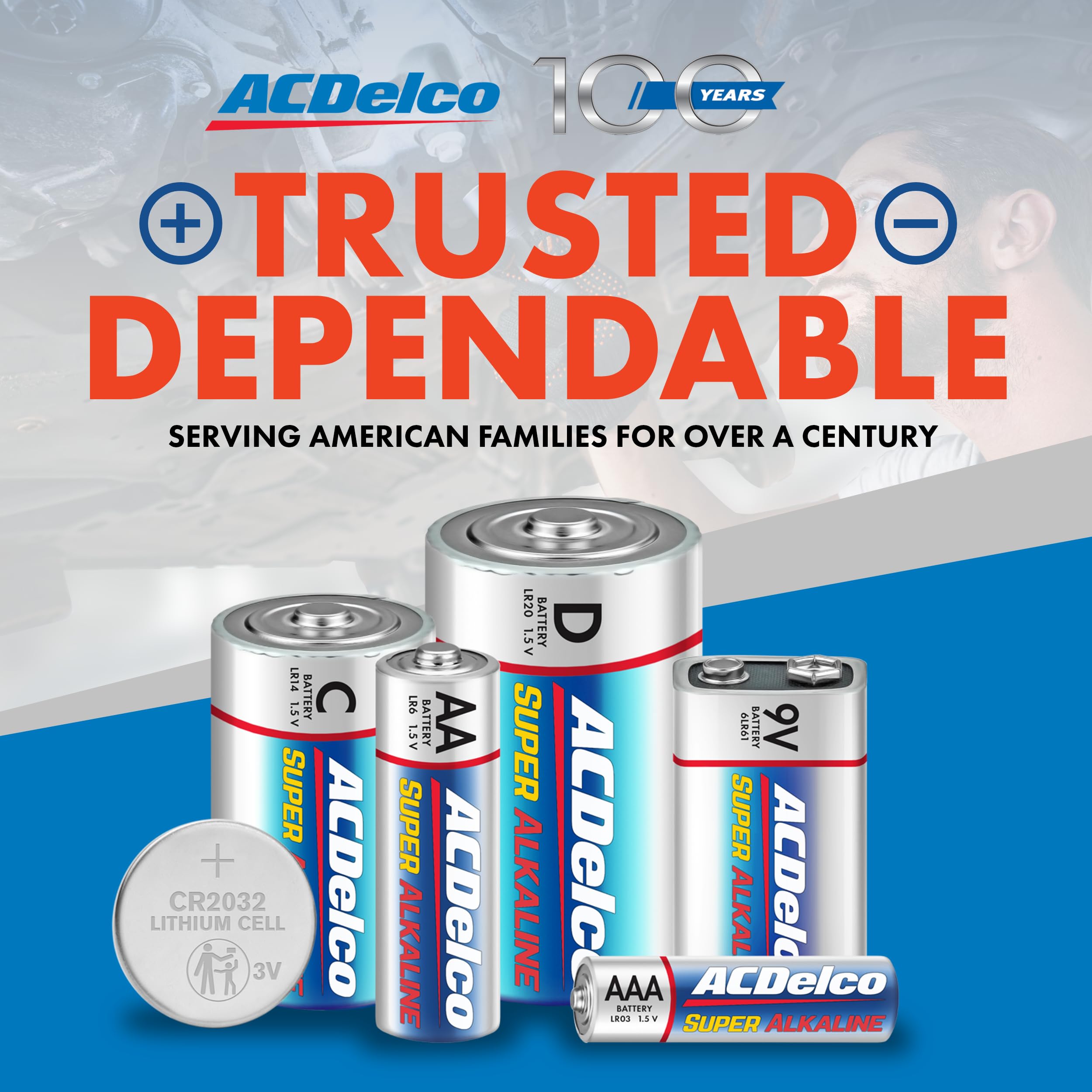Acdelco 48 Count Aa Batteries, Maximum Power Super Alkaline Battery, 10 Year Shelf Life, Reclosable Packaging Blue
