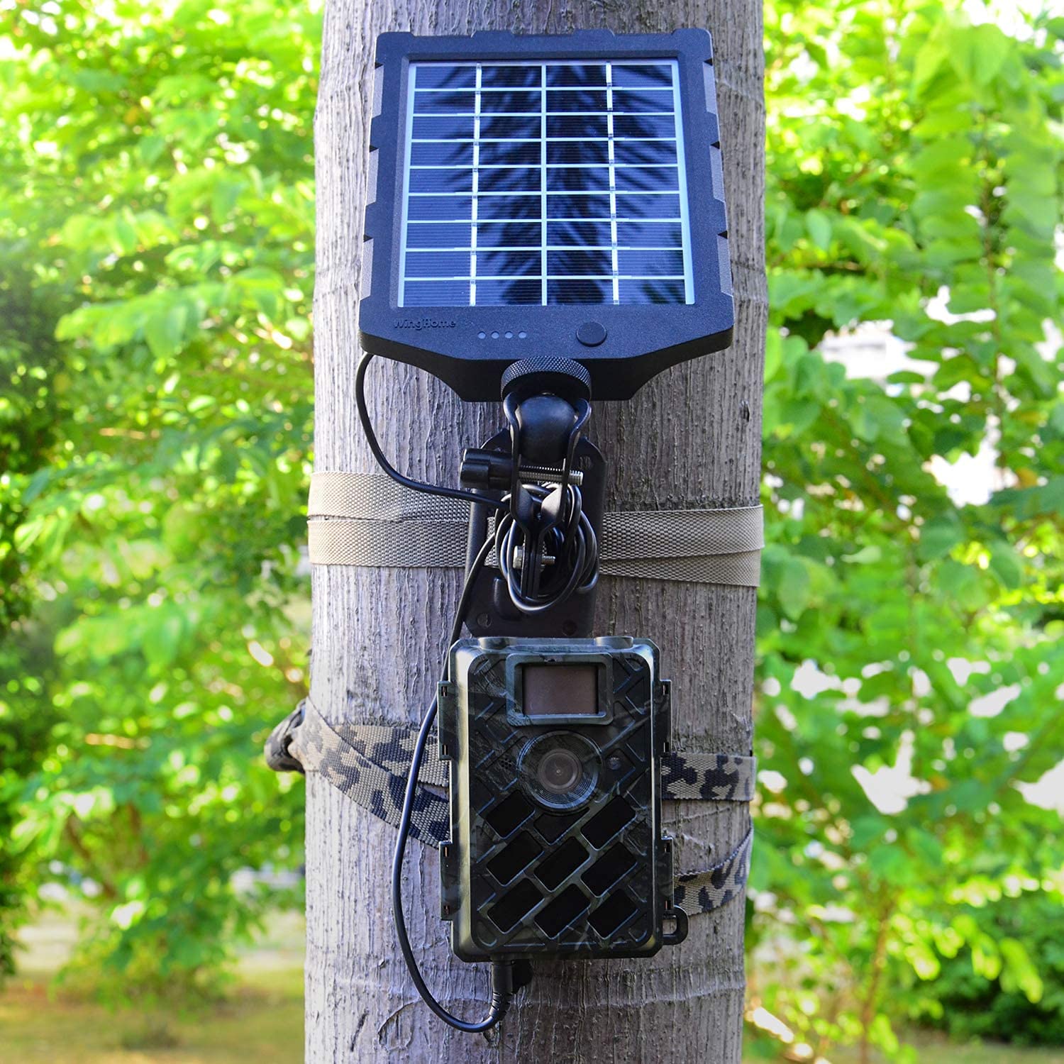 Winghome Wildlife Trail Camera Mounting Straps, Hunting Camera Holder Strap 6Feets Durable Mounting Bracket Belt Nylon Fiber Str