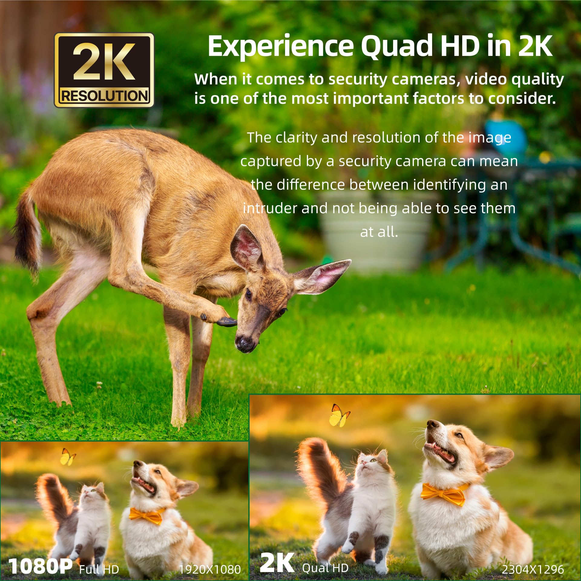 Faleemi 2K Wifi Security Camera For Home With Cell Phone App Control, Color Night Vision, Ai Motion Detection, Auto Tracking, 2