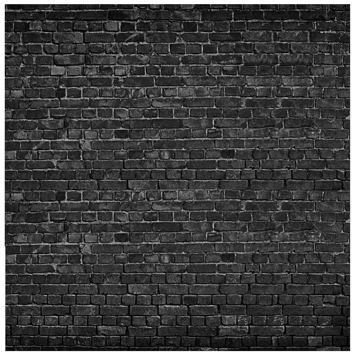 Aiikes 8X8Ft Brick Backdrop Black Brick Wall Photography Backdrop Vintage Theme Stone Brick Design Photography Backdrop Baby Bir