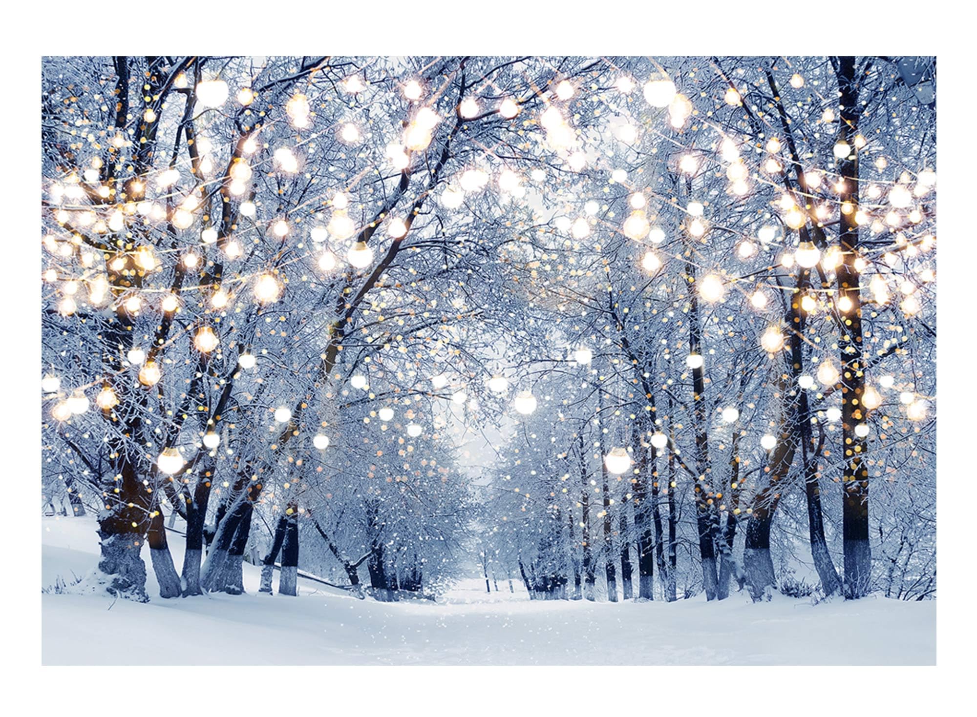 Funnytree 7X5Ft Winter Scene Backdrop Wonderland Snowflake Photography Background Bokeh Glitter White Snow Forest Christmas Part