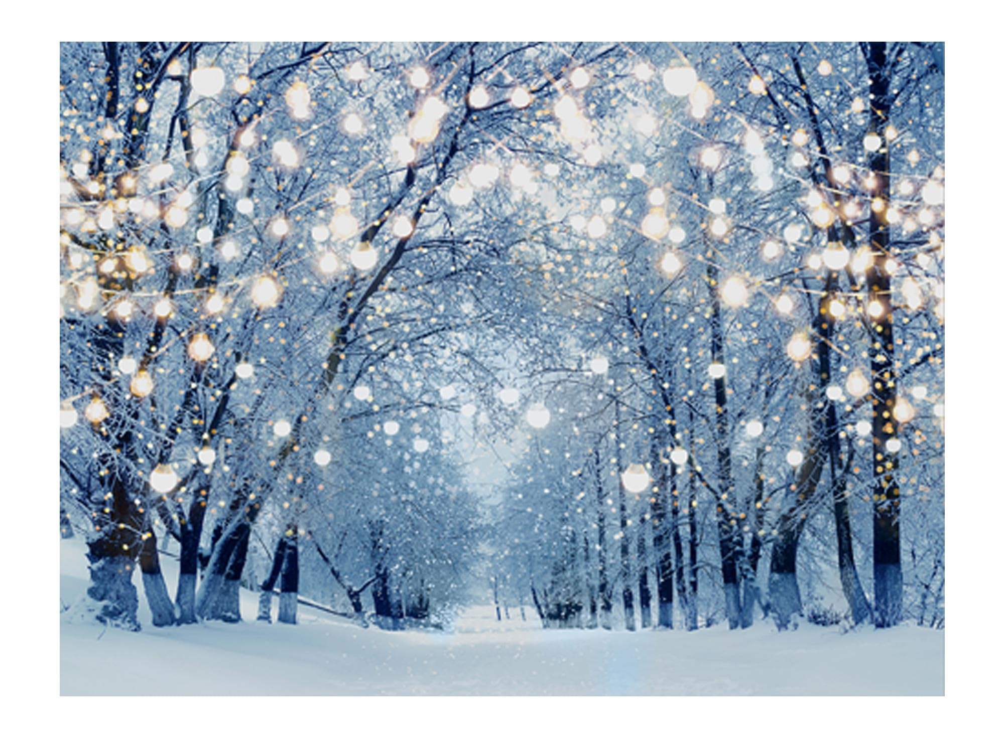 Allenjoy 8 X 6 Ft Winter Forest Backdrop Wonderland Snowflake Photography Background Bokeh Glitter Snow Scene Christmas Party De