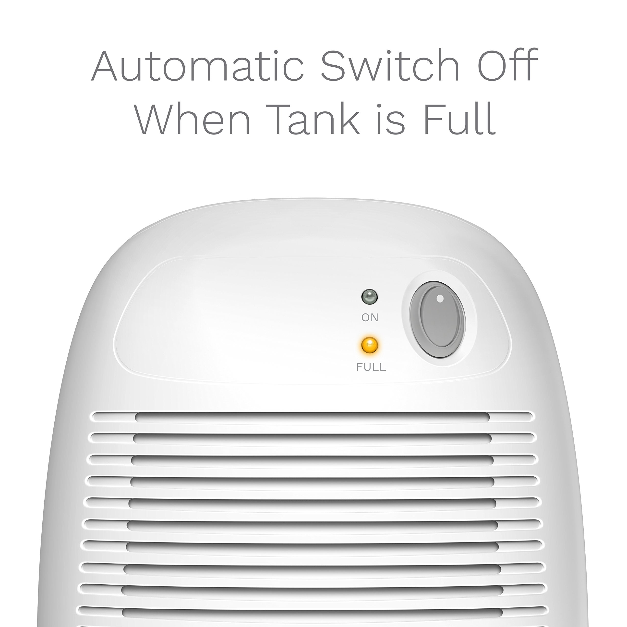 Homelabs Small Space Dehumidifier With Auto Shut Off   Compact And Portable