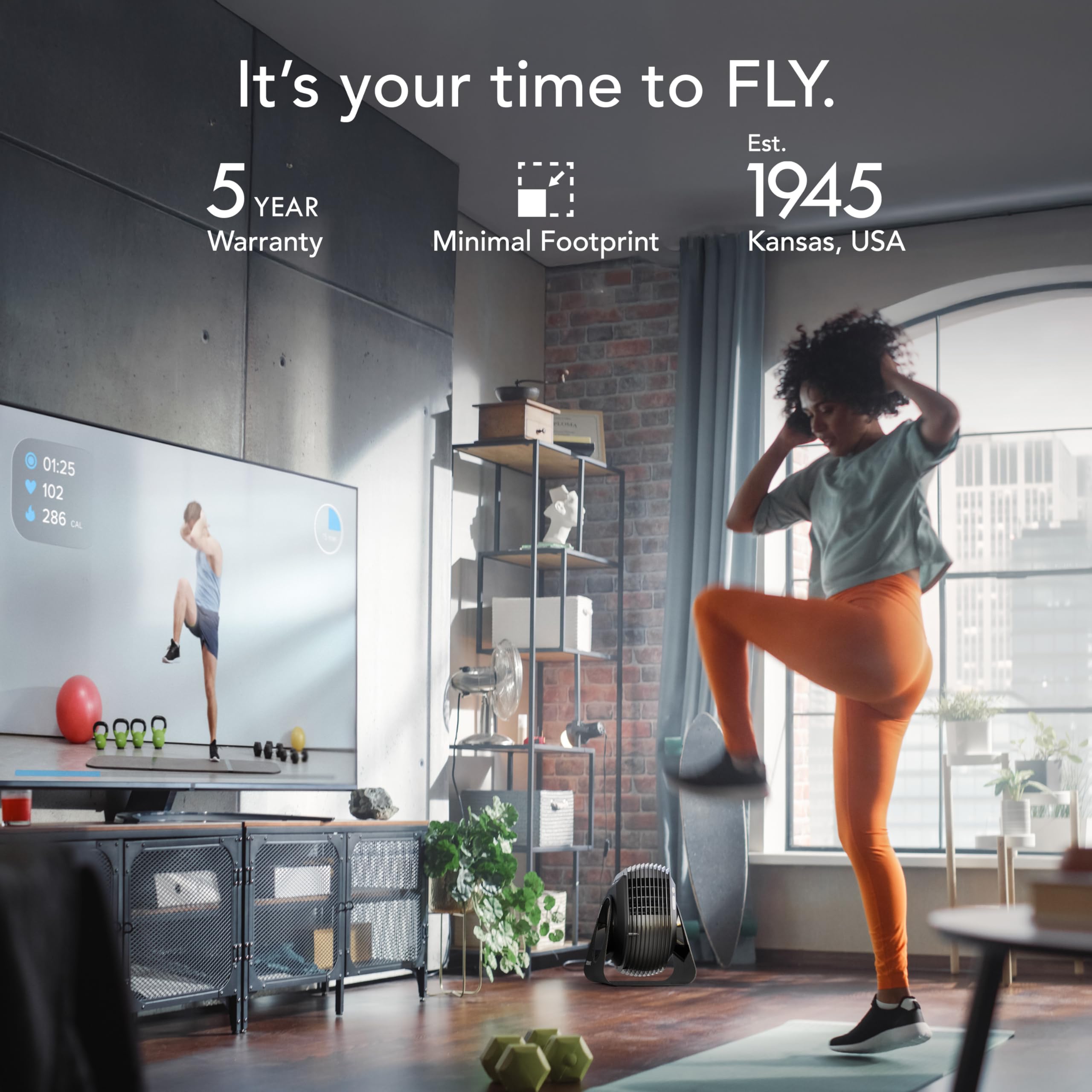 Vornado Fly Max High Velocity Fitness Fan, Omnidirectional Remote, 4 Speed Settings, Adjustable Tilt, Black