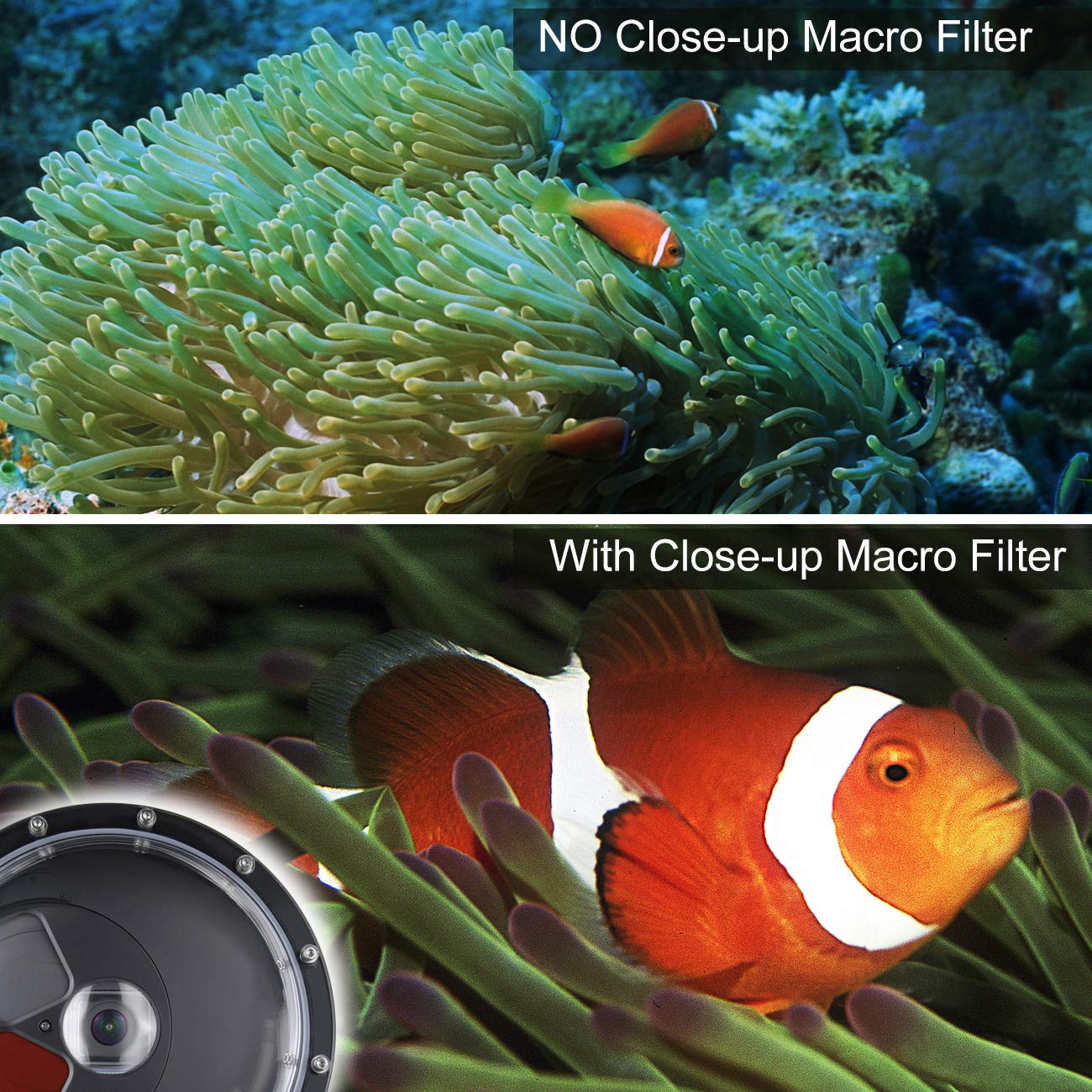 Soonsun Dome Port For Gopro Hero 12 / Hero 11 / Hero 10 / Hero 9 Black, Built-In Red 10X Magnification Close-Up Filter Underwate