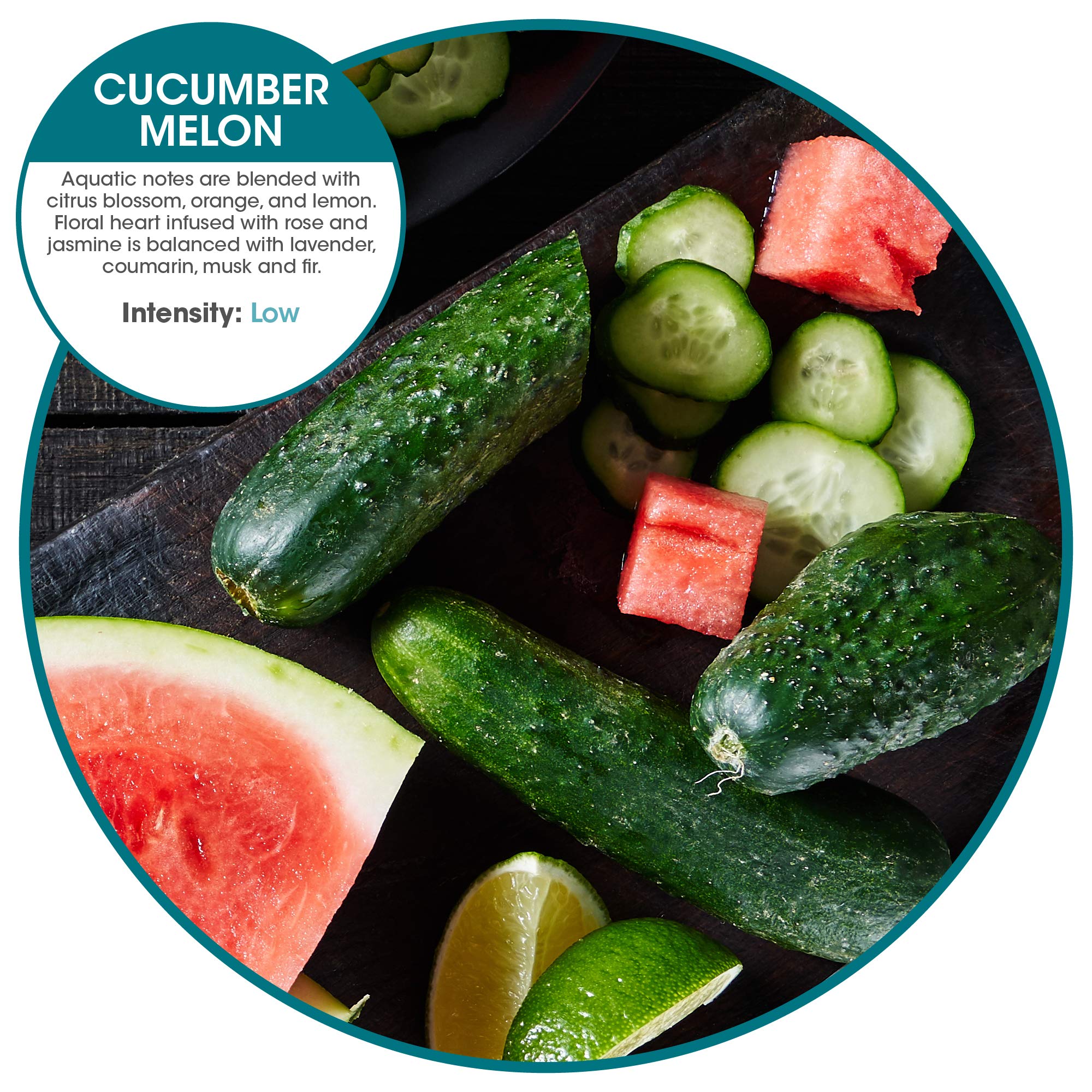 Fresh Products Ourfreshe Plug In Air Freshener 30 Day Refills Replace Messy Aerosols With Dry Fragrance For Use In Medium Sized