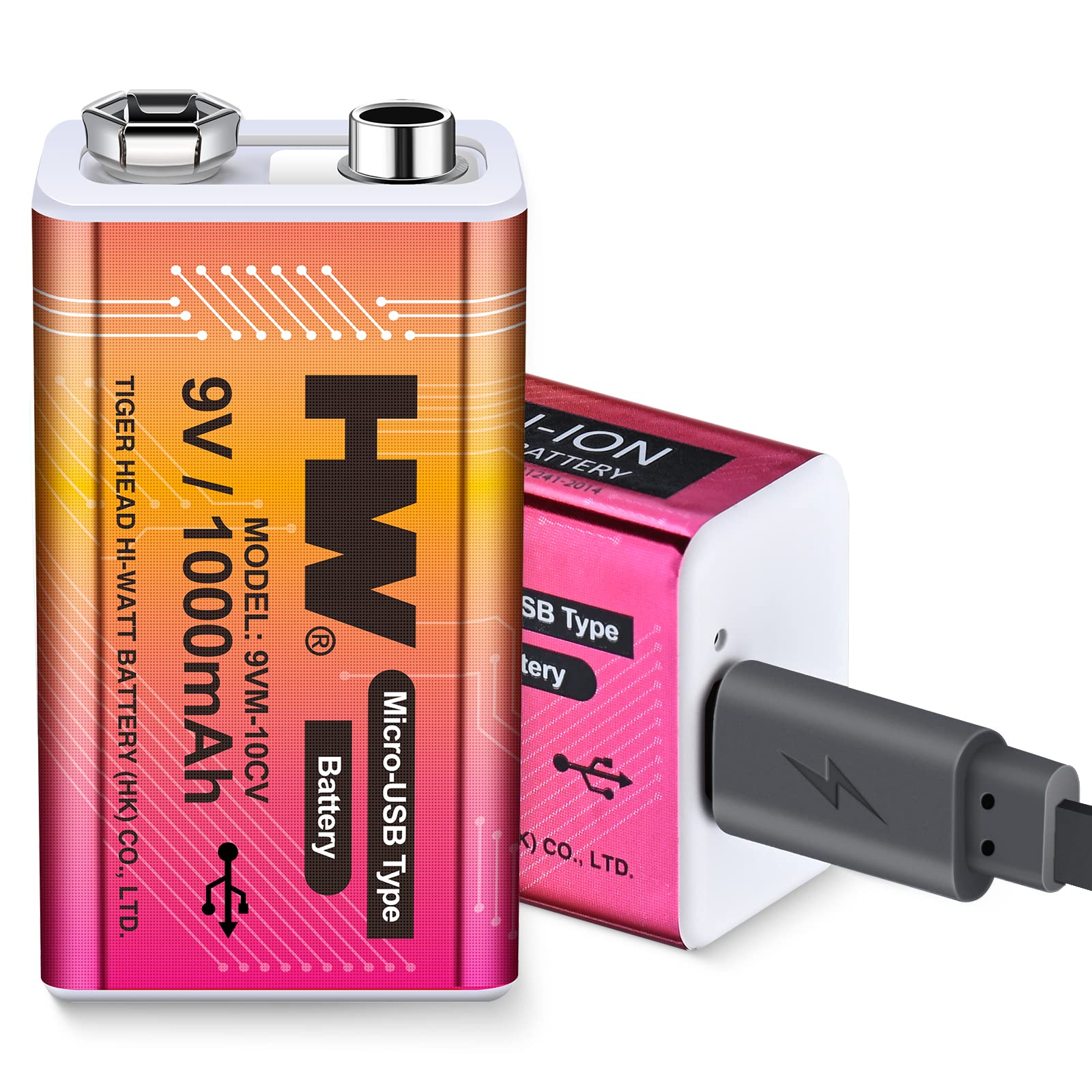 HW 9V Li-ion Rechargeable Battery, 9 Volt/1000mAh(9000mWh) Long Lasting Rechargeable Batteries with Micro-USB, 1000 Cycles Charg