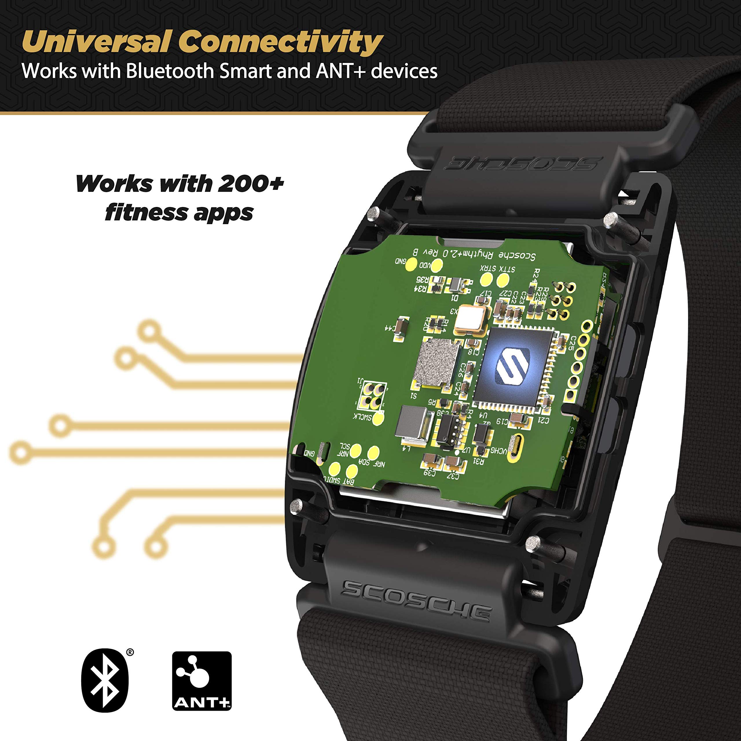 Scosche Rhythm R+2.0: Waterproof/Dustproof Armband With Ant+ & Ble Bluetooth Smart For Hyper Accurate Workout Heart Rate Monitor