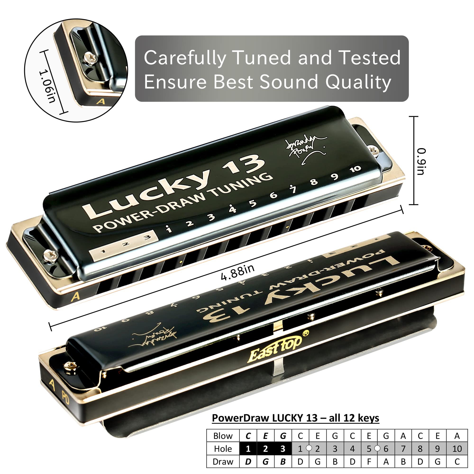 East Top Lucky 13 Bass Plus Blues Harmonica 13 Holes Diatonic Harp Mouth Organ Professional Musical Instruments Powerdraw A Key