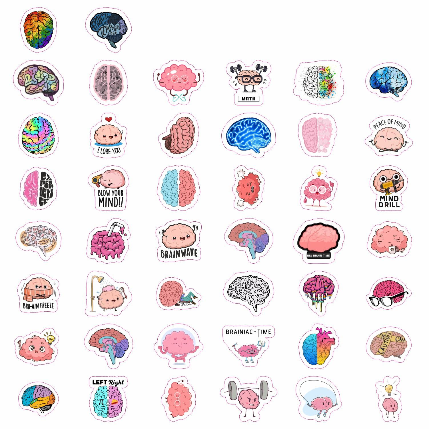 Brain Stickers For Water Bottle And Laptop   Brain Party Favors & Decorations, Waterproof Vinyl Decals, Science And Anatomy Stic