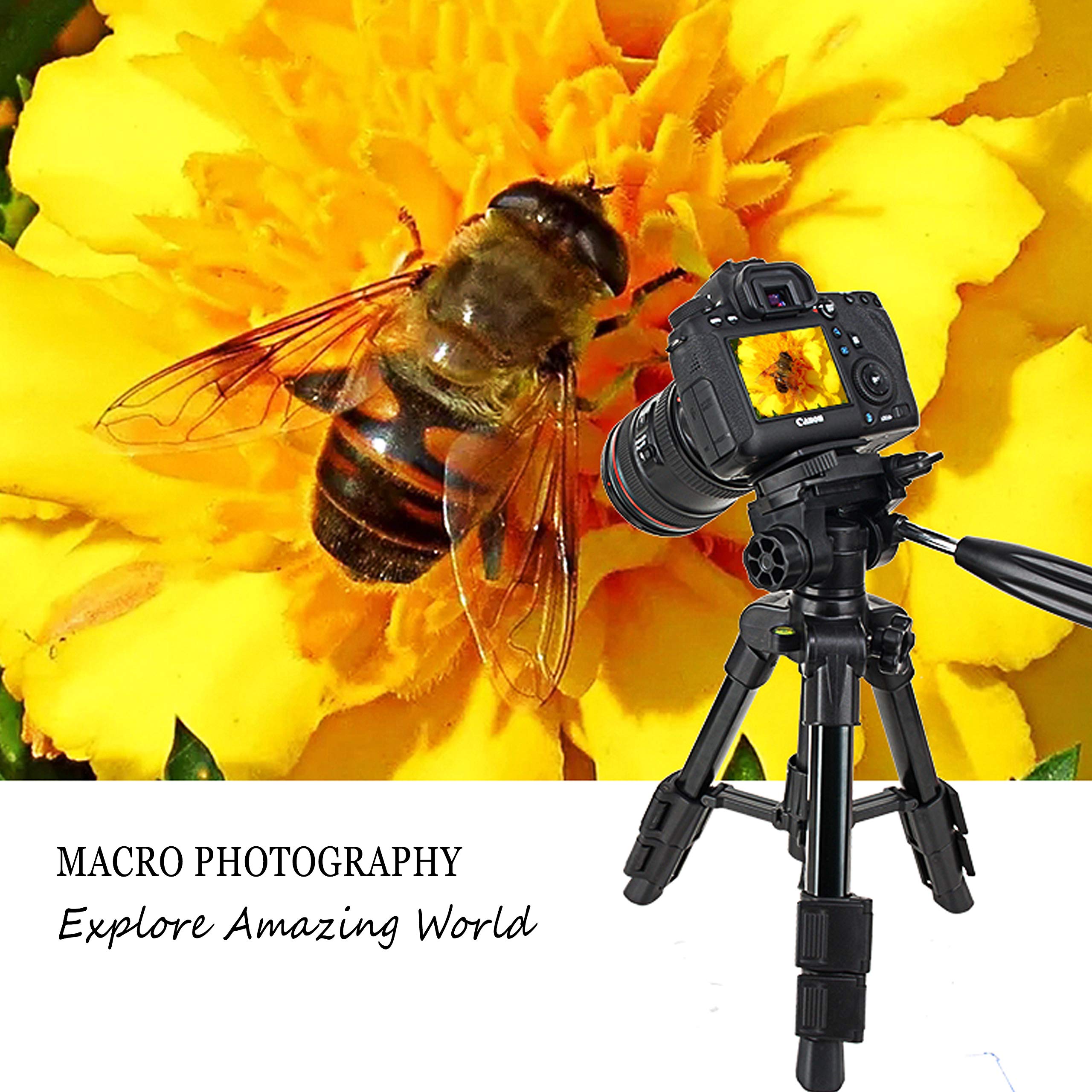 Mini Tripod For Camera,Zomei Travel Table Tripod With 3 Way Pan/Tilt Head 1/4 Inches Quick Release Plate And Bag For Dslr Camera Tripod Carrying Bag