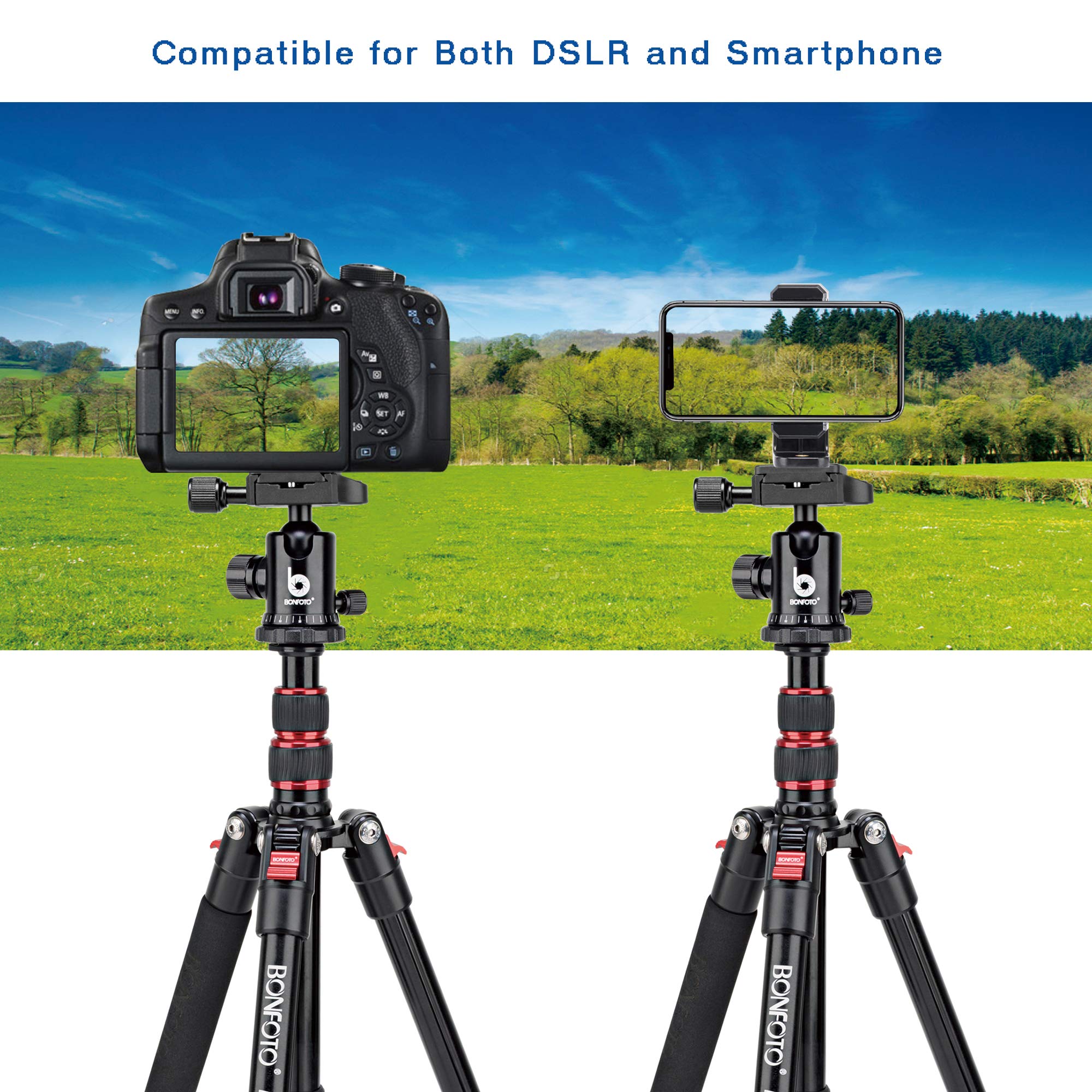 Bonfoto B690A Camera Tripod For Travel,Lightweight Aluminum Portable Dslr Tripod With 360 Degree Ball Head And Carry Bag, Camera Stand For Ring Light & Canon Nikon Sony Dslr