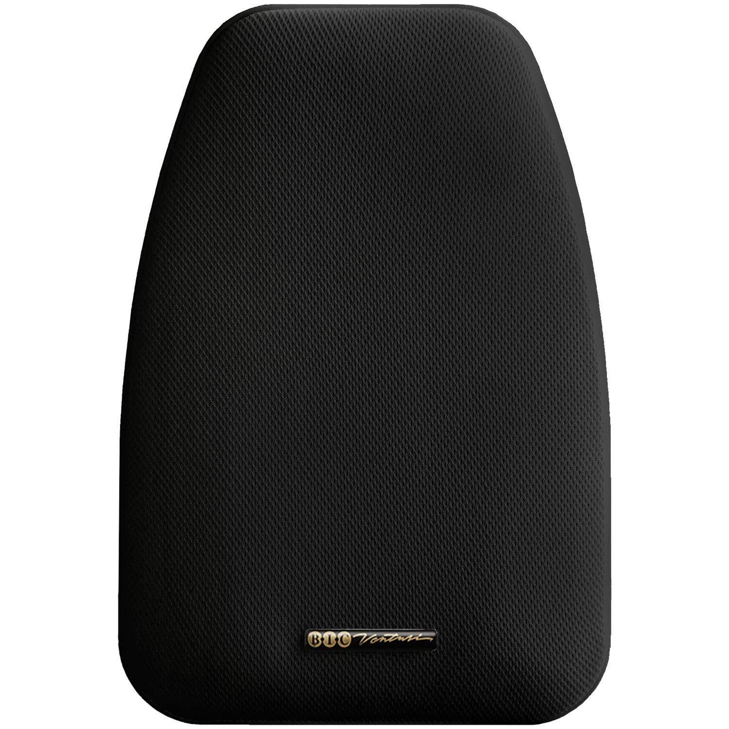 Bic America Adatto Dv52Si Adatto Indoor/Outdoor Speakers (Black)