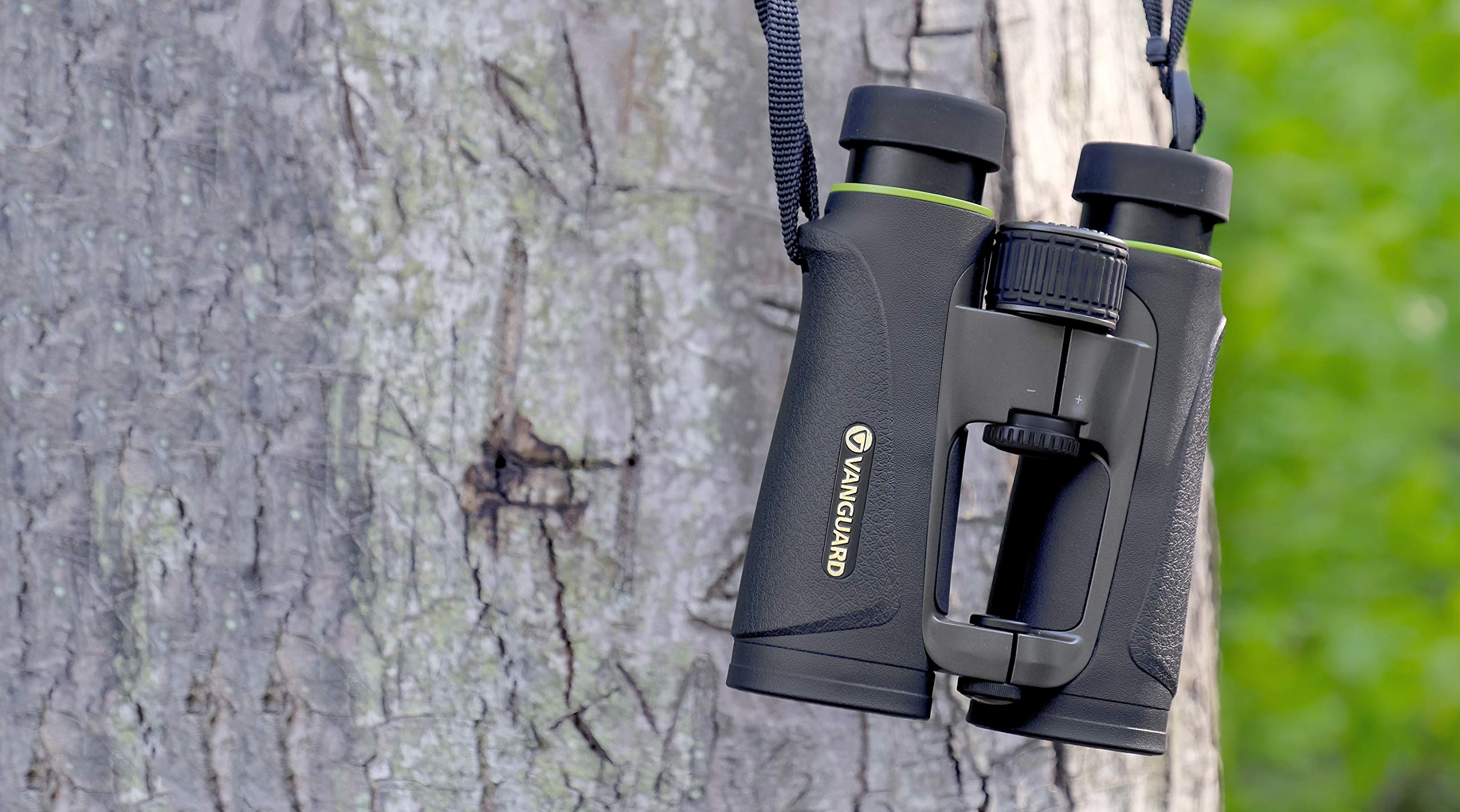Vanguard Endeavor Ed Iv 8X42 Binocular, Premium Hoya Ed Glass, Sk 15 Prisms, Waterproof/Fogproof