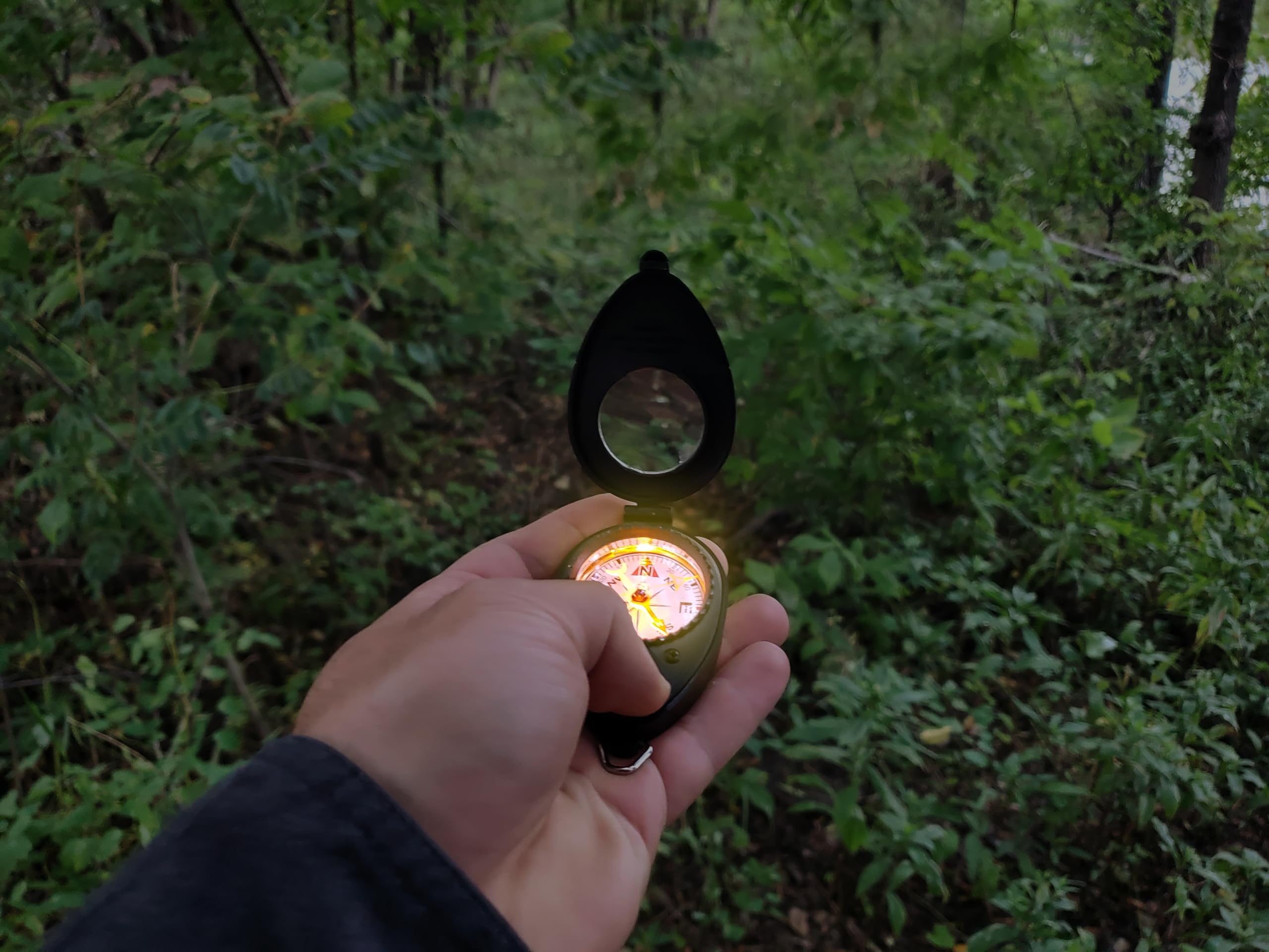 Coghlan'S Compass With Led Light