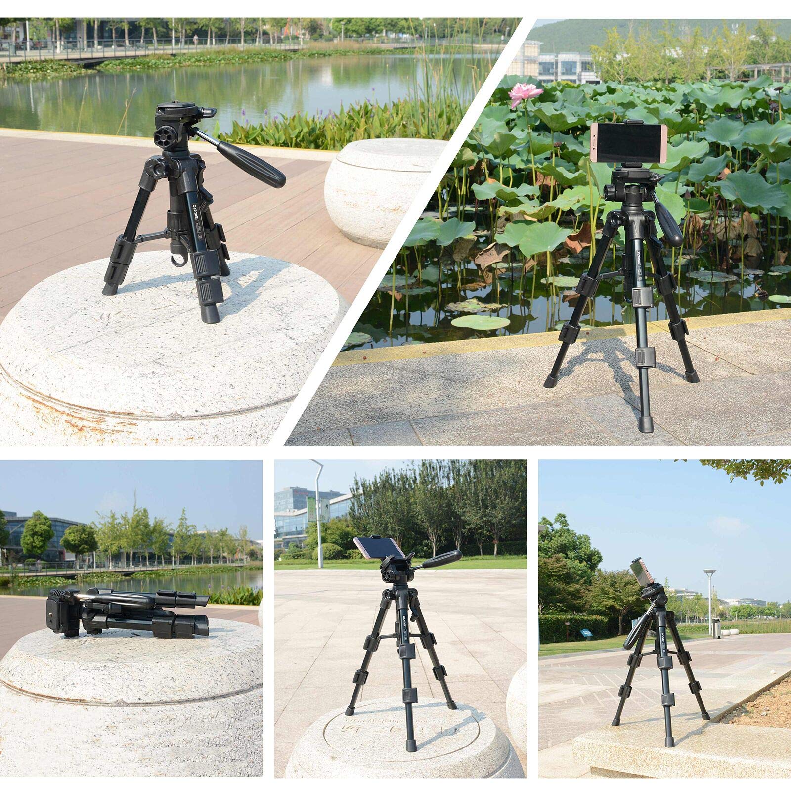 Mini Tripod For Camera,Zomei Travel Table Tripod With 3 Way Pan/Tilt Head 1/4 Inches Quick Release Plate And Bag For Dslr Camera Tripod Carrying Bag