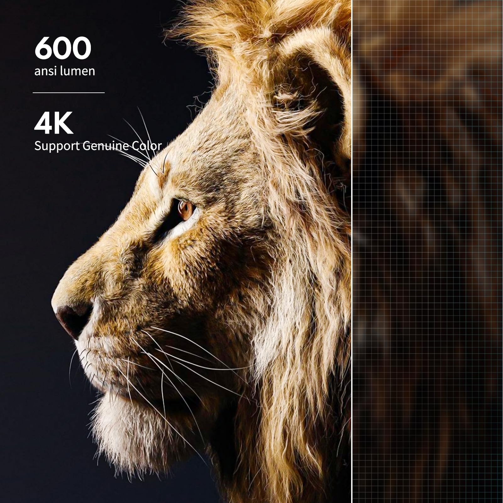 Goodee Projector 4K With Wifi And Bluetooth Supported, Fhd 1080P Mini Projector For Outdoor Moives, 5G Video Projector For Home