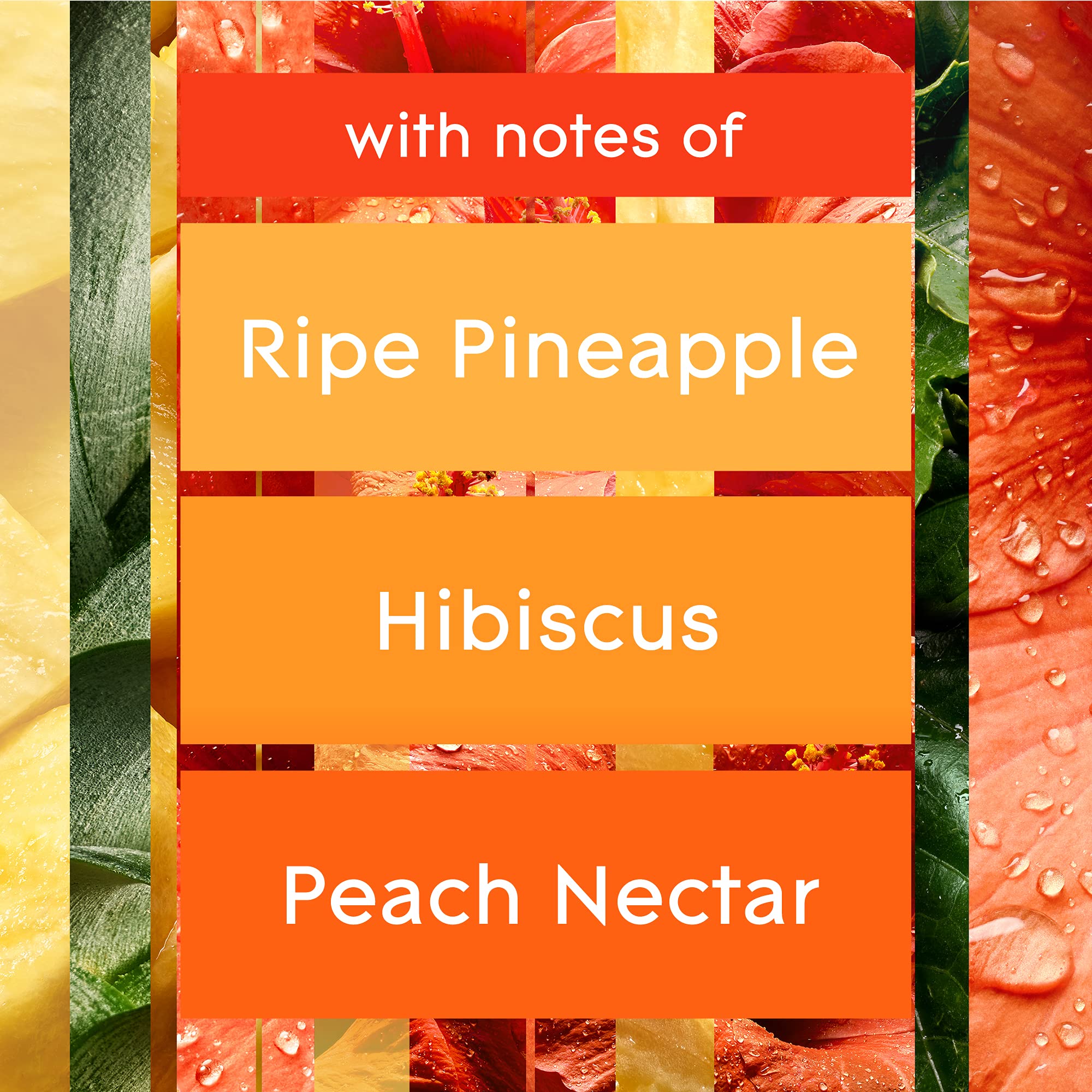 Glade Plugins Refills Air Freshener Starter Kit, Scented And Essential Oils For Home And Bathroom, Hawaiian Breeze, 1.34 Fl Oz,