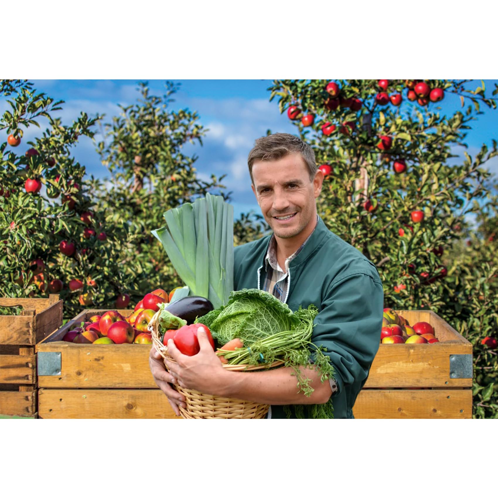 Baocicco 5X3Ft Autumn Orchard Farmland Backdrop Apples Wooden Container Apple Tree Photography Background Autumn Harvest Thanksg