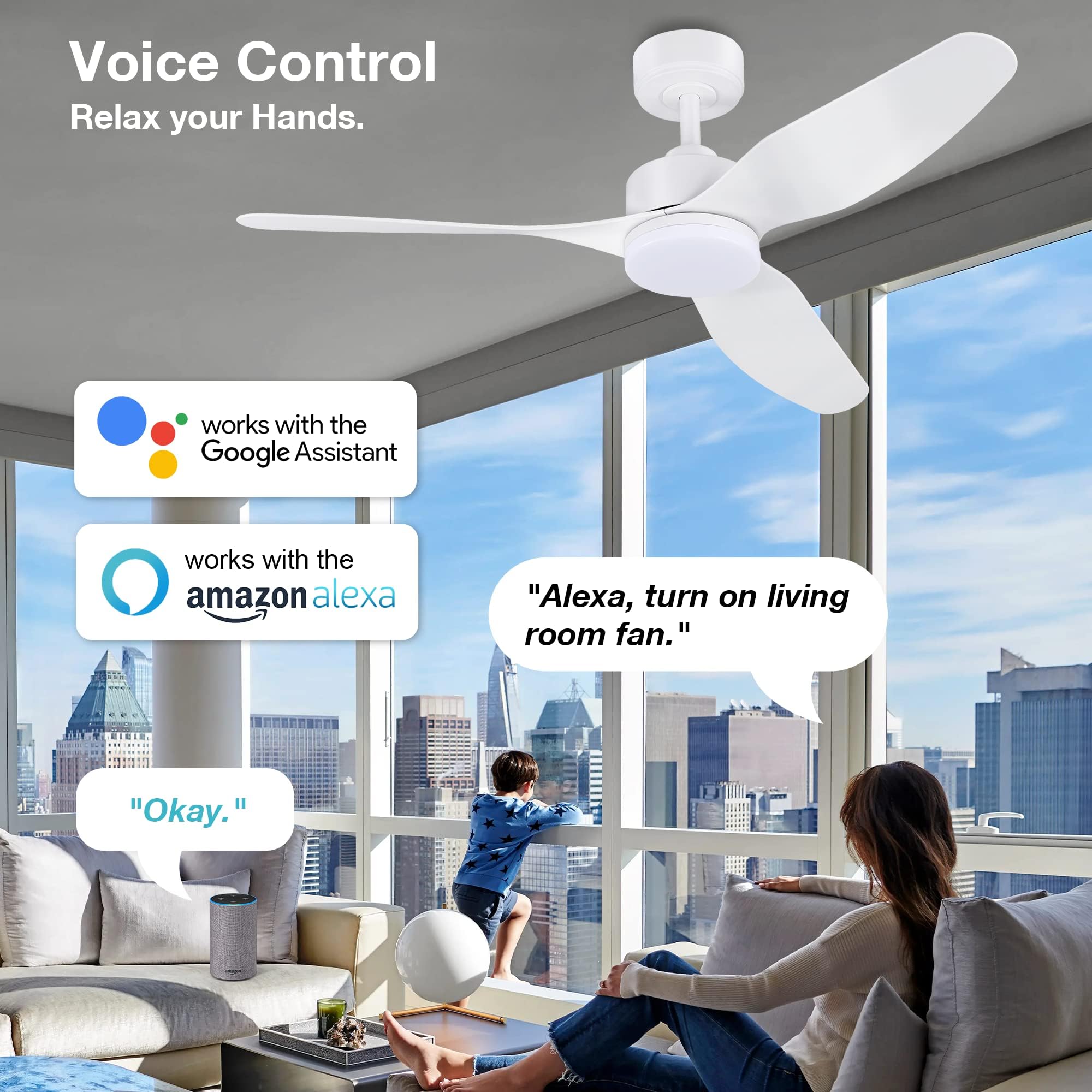 Hoenofly 48 Inch Smart Ceiling Fans With Lights Remote Control,Dimmable Led Light,Outdoor Indoor Modern Ceiling Fan,Quiet Dc Mot
