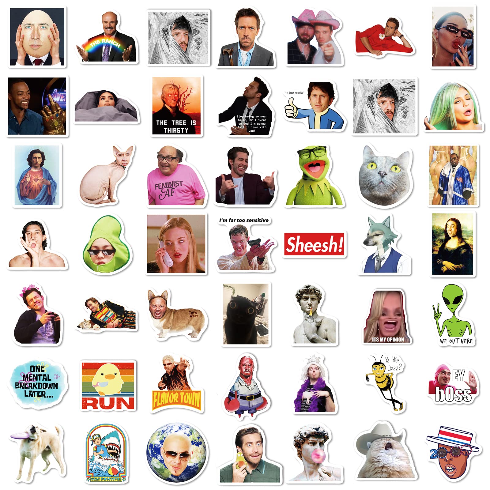 Meme Stickers 300 Pcs Funny Stickers,Funny Stickers For Adults,Vinyl Stickers Waterproof For Adults,Laptop Sticker Pack,Bumper,W