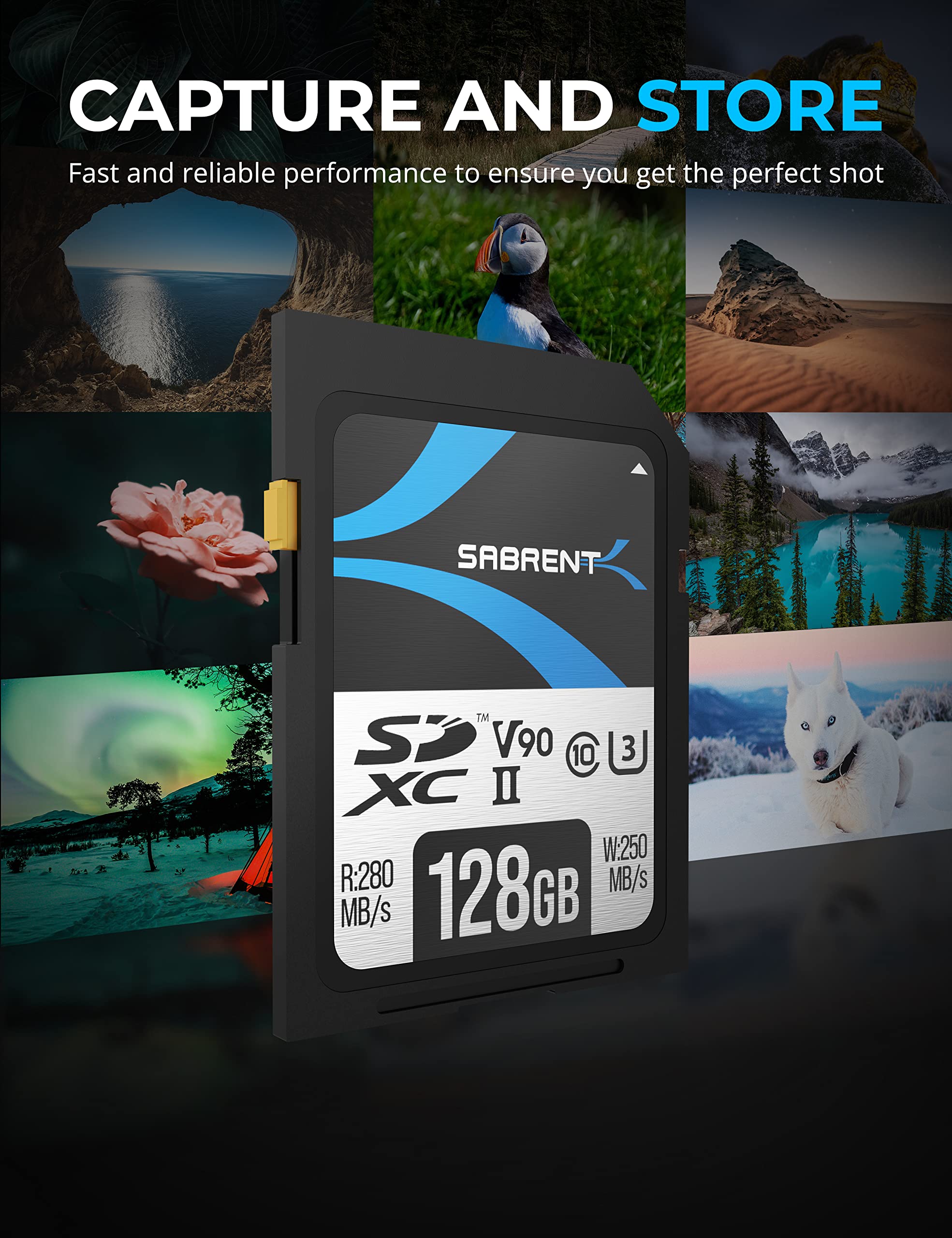 SABRENT Rocket v90 128GB SD UHS II Memory Card R280MB/s W250MB/s (SD TL90 128GB)