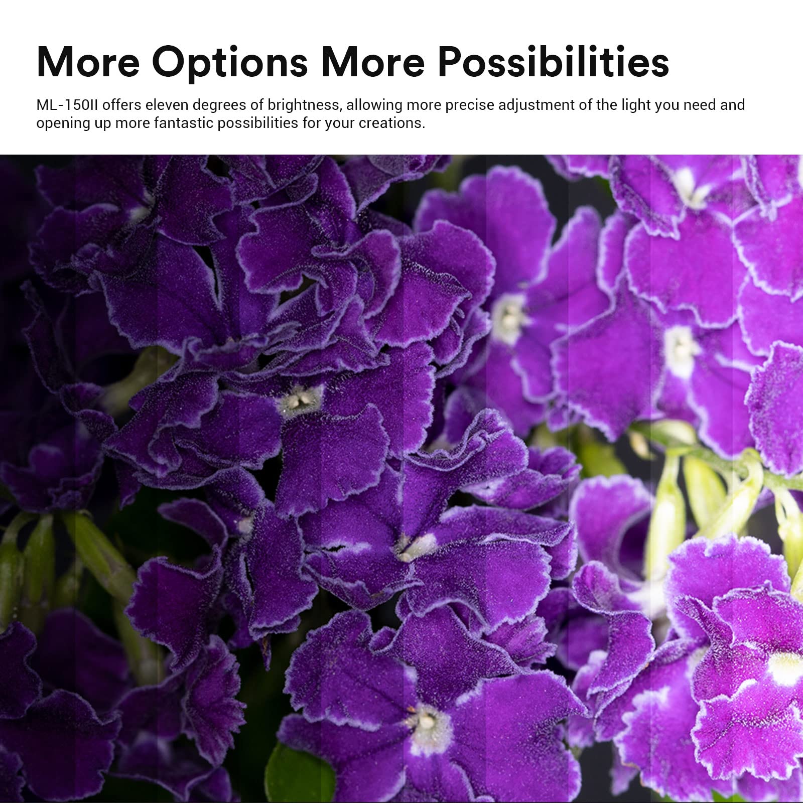 Godox Ml150Ii Macro Ring Flash On Camera Ring Flash Light Gn12 Cct 5800K200K For Fuji, For Canon, For Nikon, For Sony, For Olymp