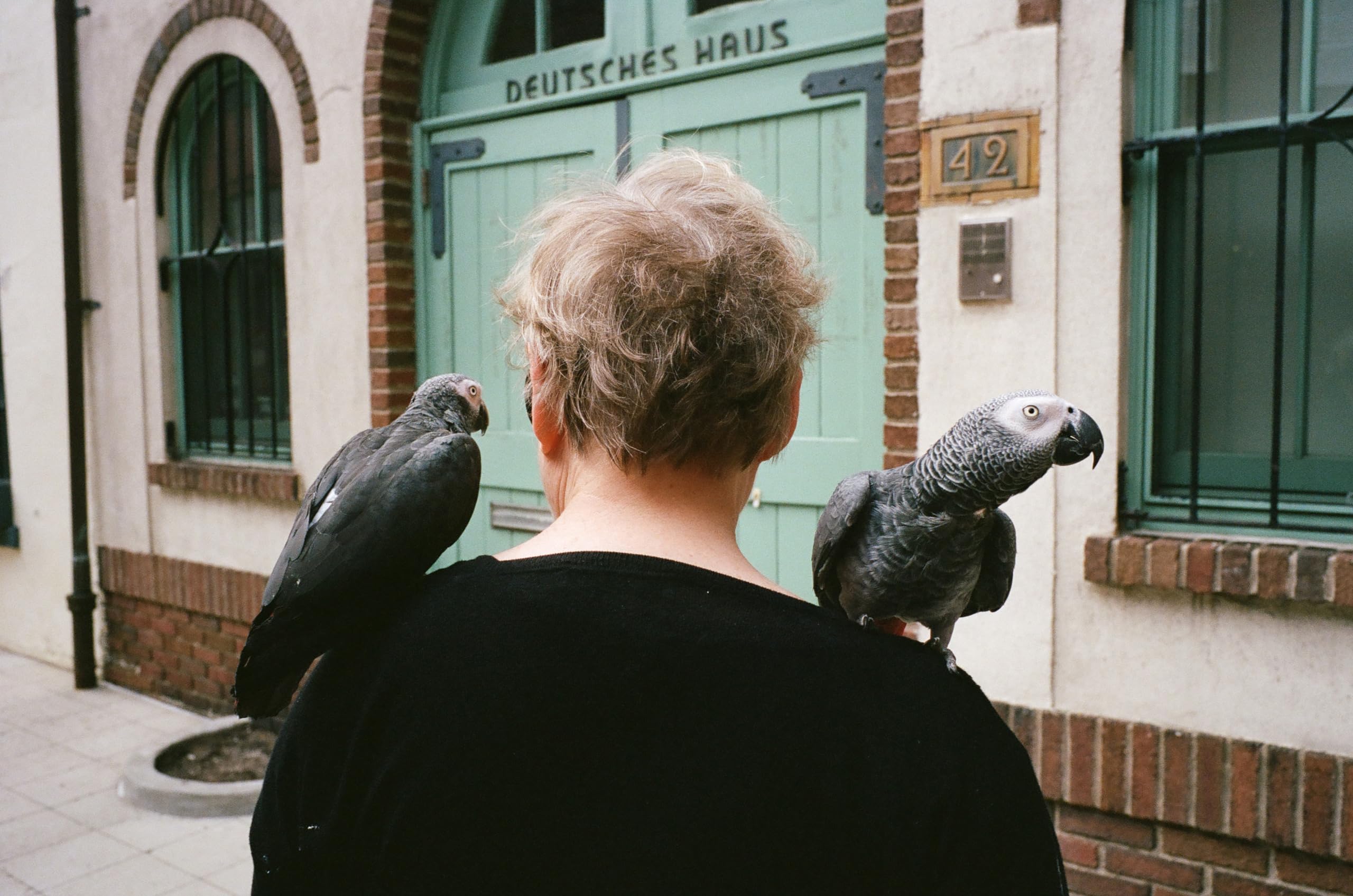 Lomography Color Negative 400 Iso 35Mm 3 Pack