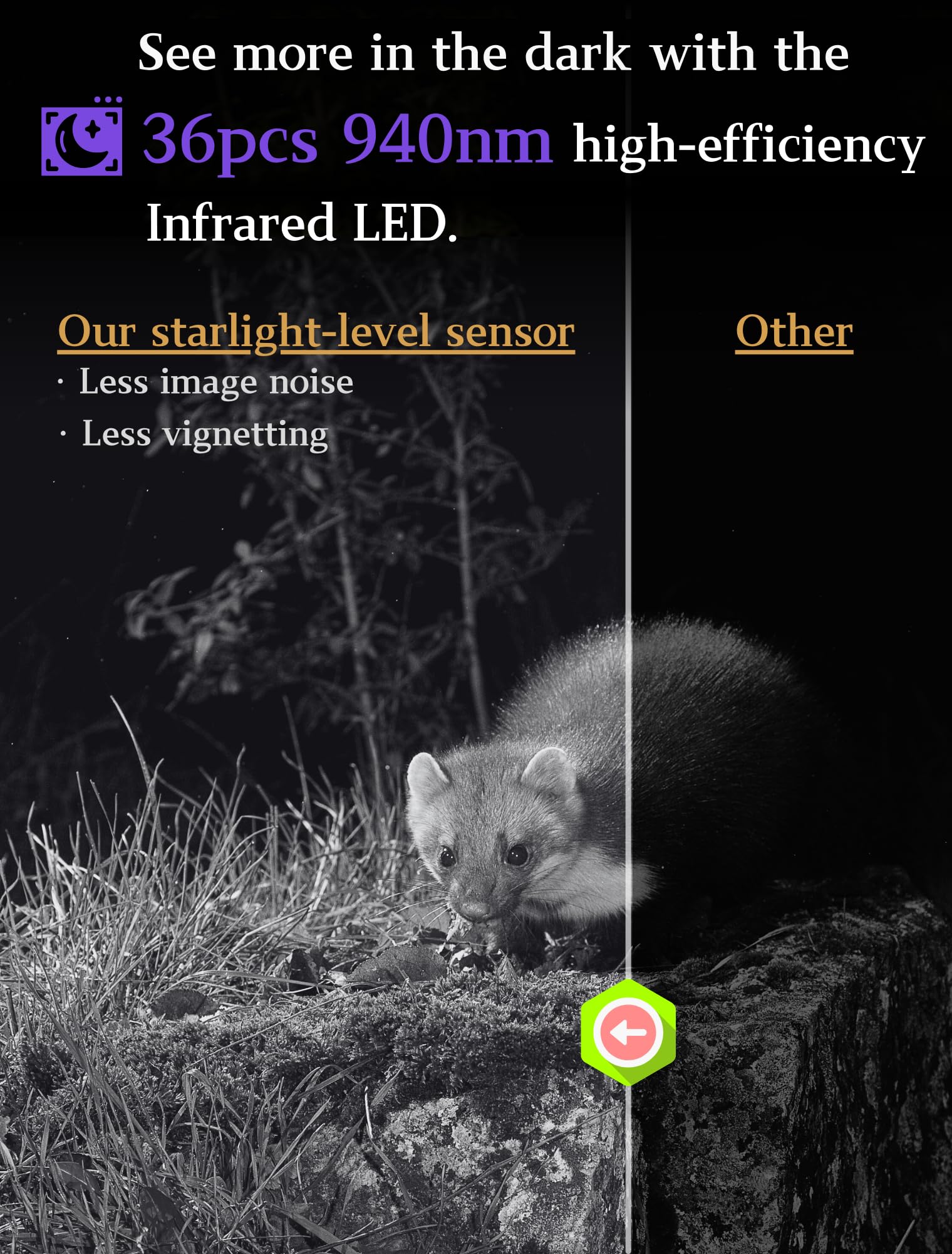 5-Pack Game & Trail Cameras 32Mp 1296P 75Ft Night Vision Time Lapse Wildlife Deer Hunting Cams No Glow Infrared Motion Activated