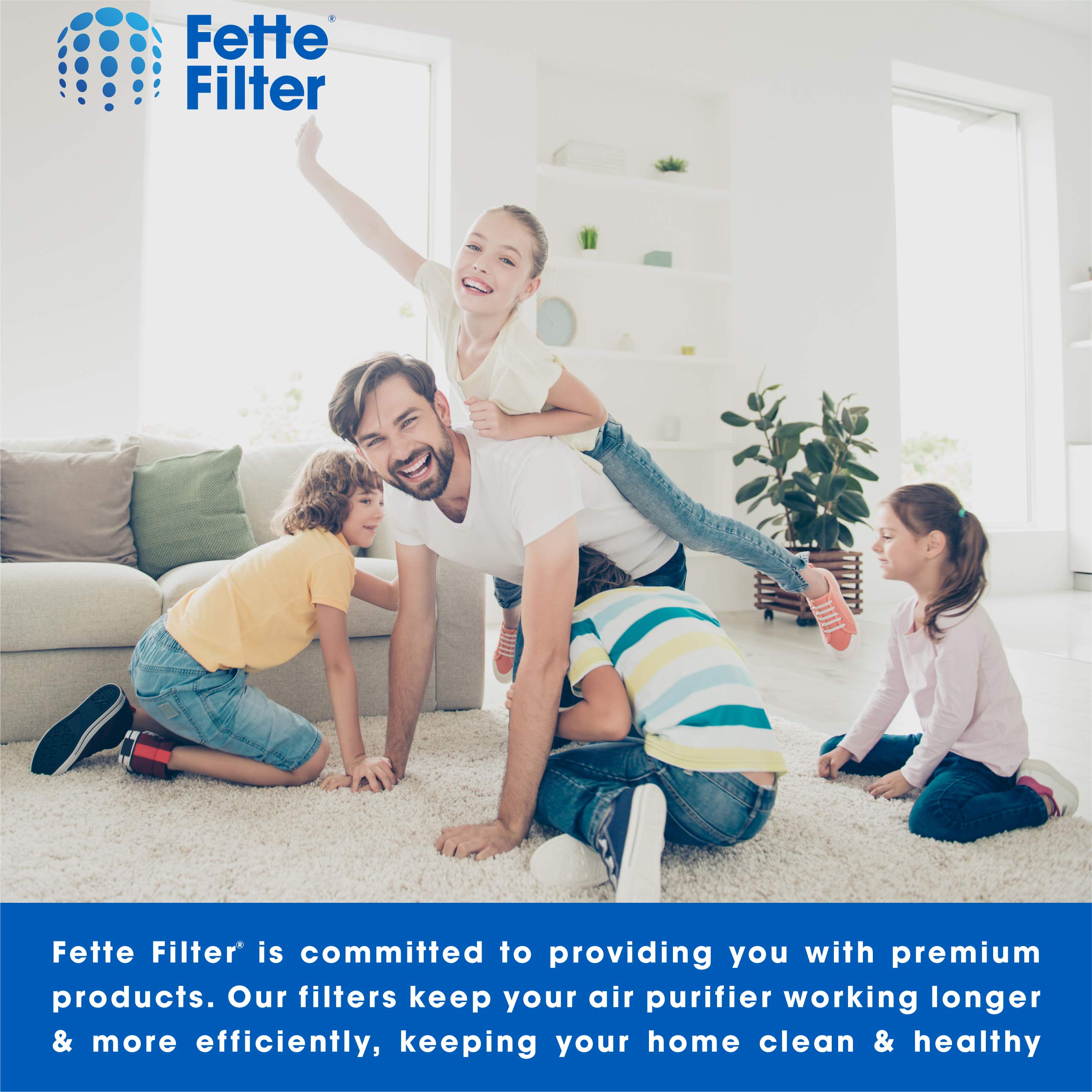 Fette Filter   Premium True Hepa H13 Replacement Filters Compatible With Fellows Aeramax 90/100 Dx5 & Db5 Part # 40101701 928700