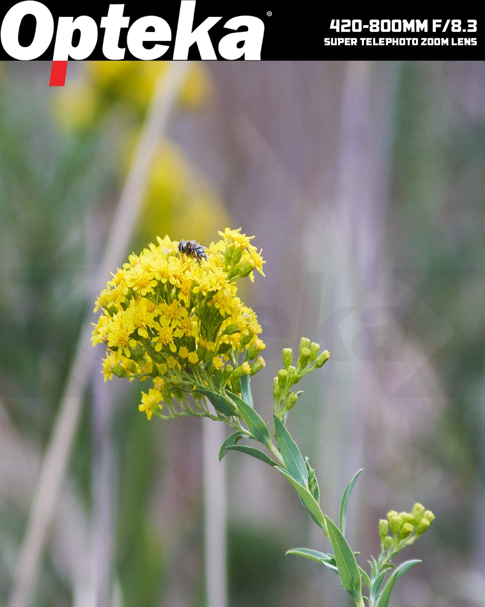 Opteka 420-800Mm F/8.3 Telephoto Zoom Lens For Sony Alpha A-Mount A99V, A99, A77, A68, A65, A58, A57, A55, A37, A35, A33, A900,